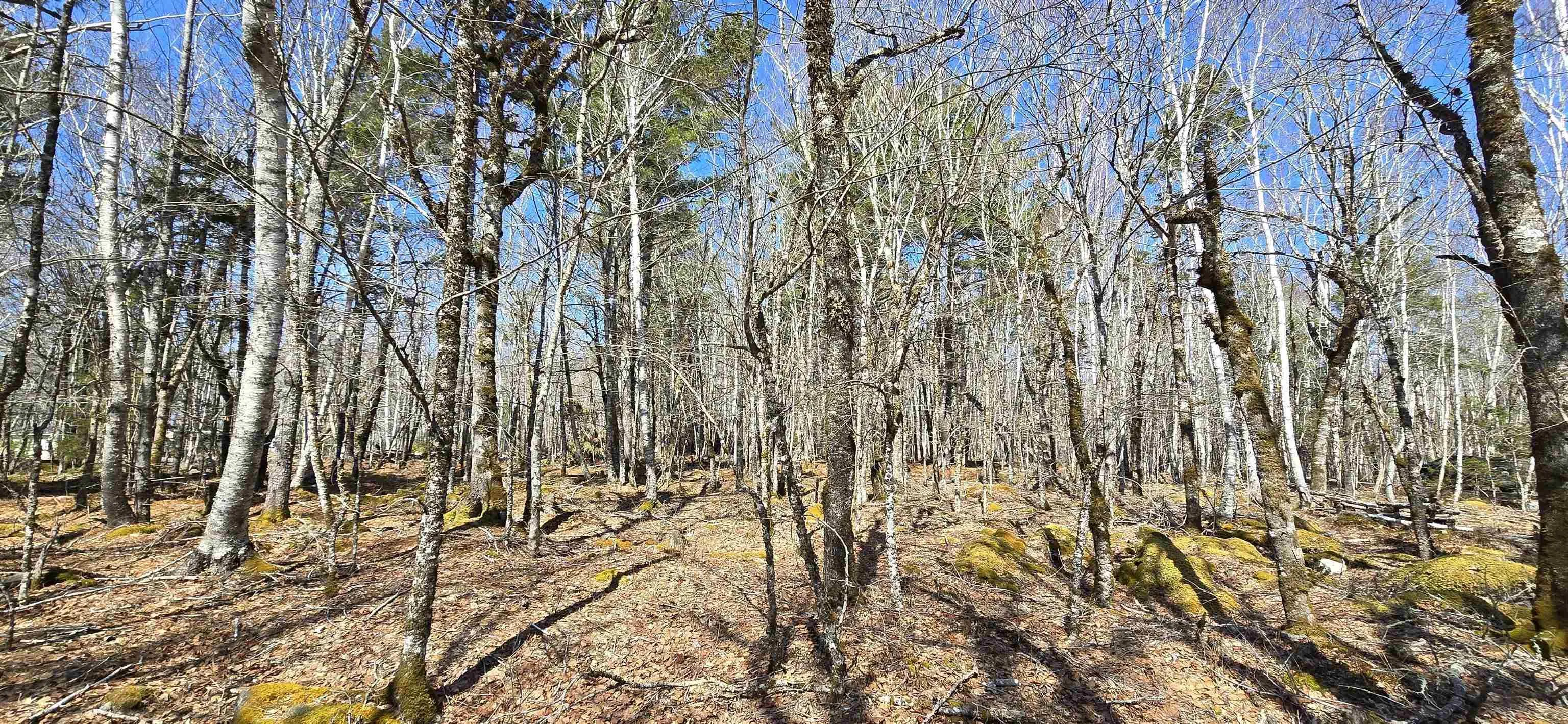 69 Sparkling Spring Lane, Labelle Ns B0t 1e0, ,Land,For Sale,Sparkling Spring,202506925