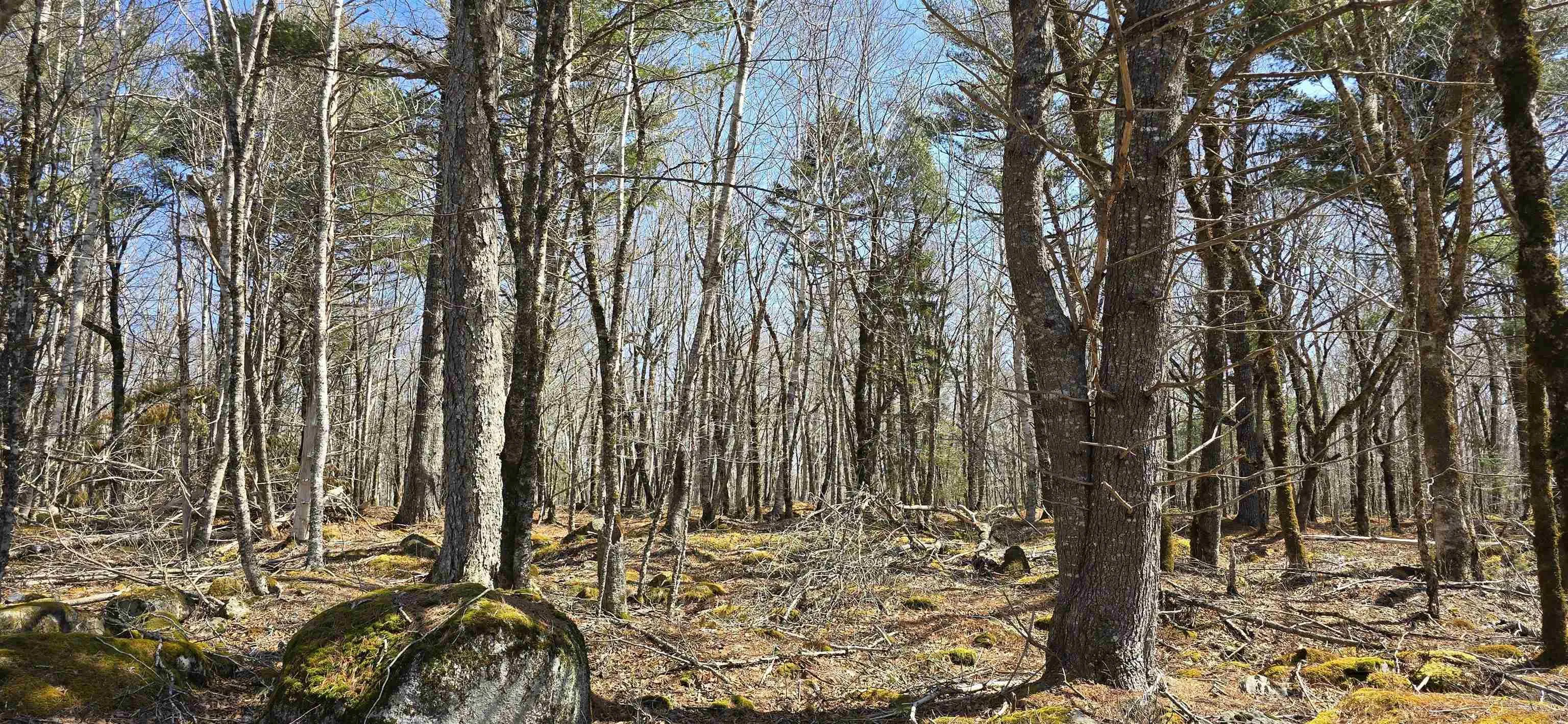69 Sparkling Spring Lane, Labelle Ns B0t 1e0, ,Land,For Sale,Sparkling Spring,202506925