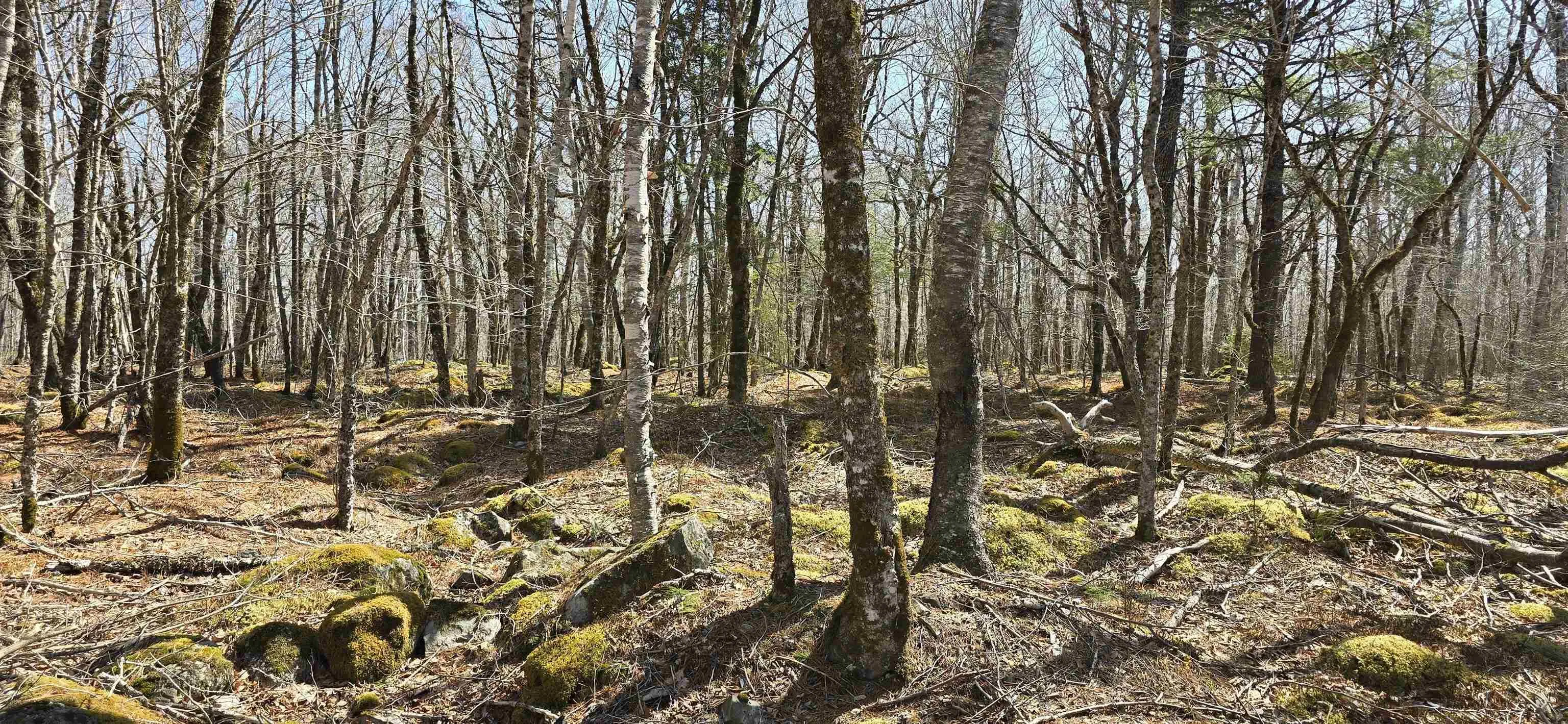 69 Sparkling Spring Lane, Labelle Ns B0t 1e0, ,Land,For Sale,Sparkling Spring,202506925