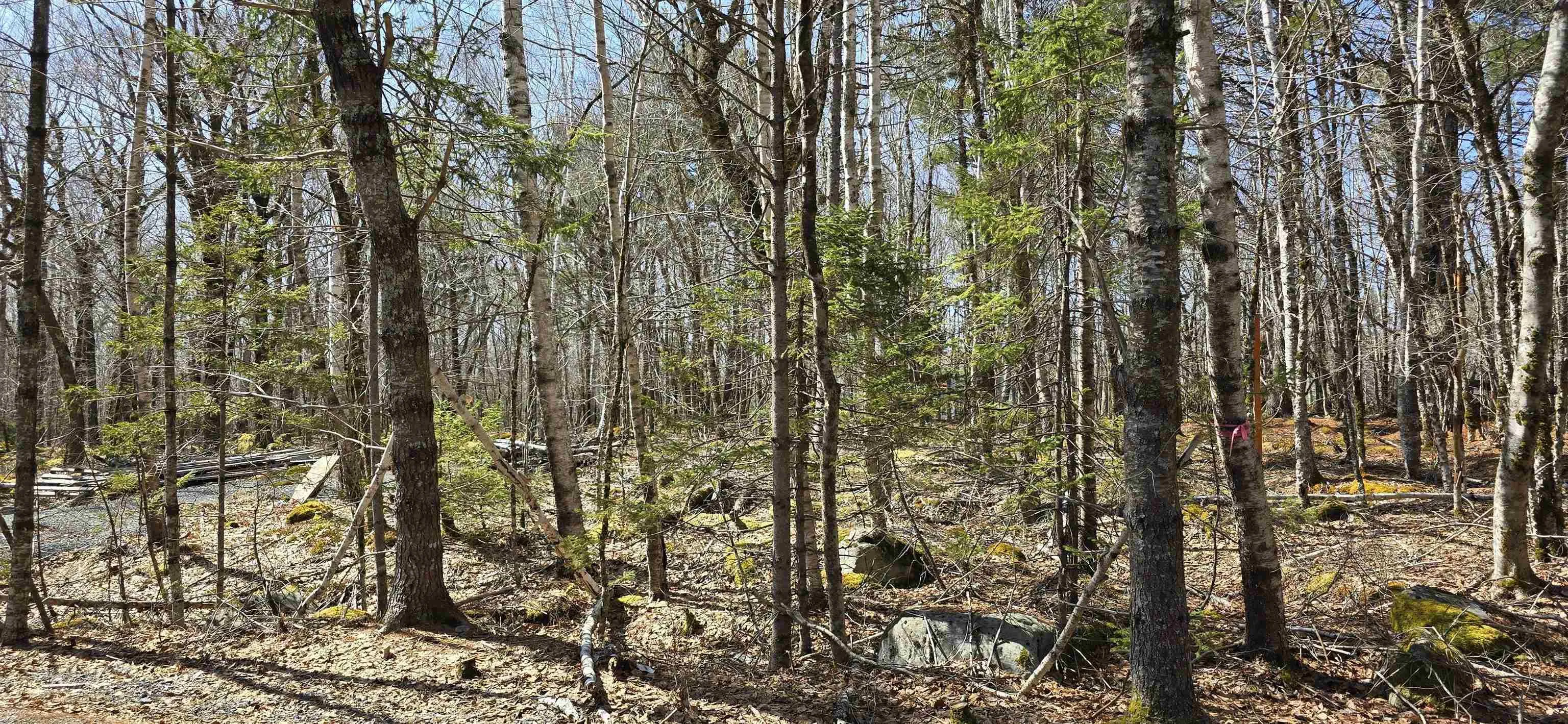 69 Sparkling Spring Lane, Labelle Ns B0t 1e0, ,Land,For Sale,Sparkling Spring,202506925