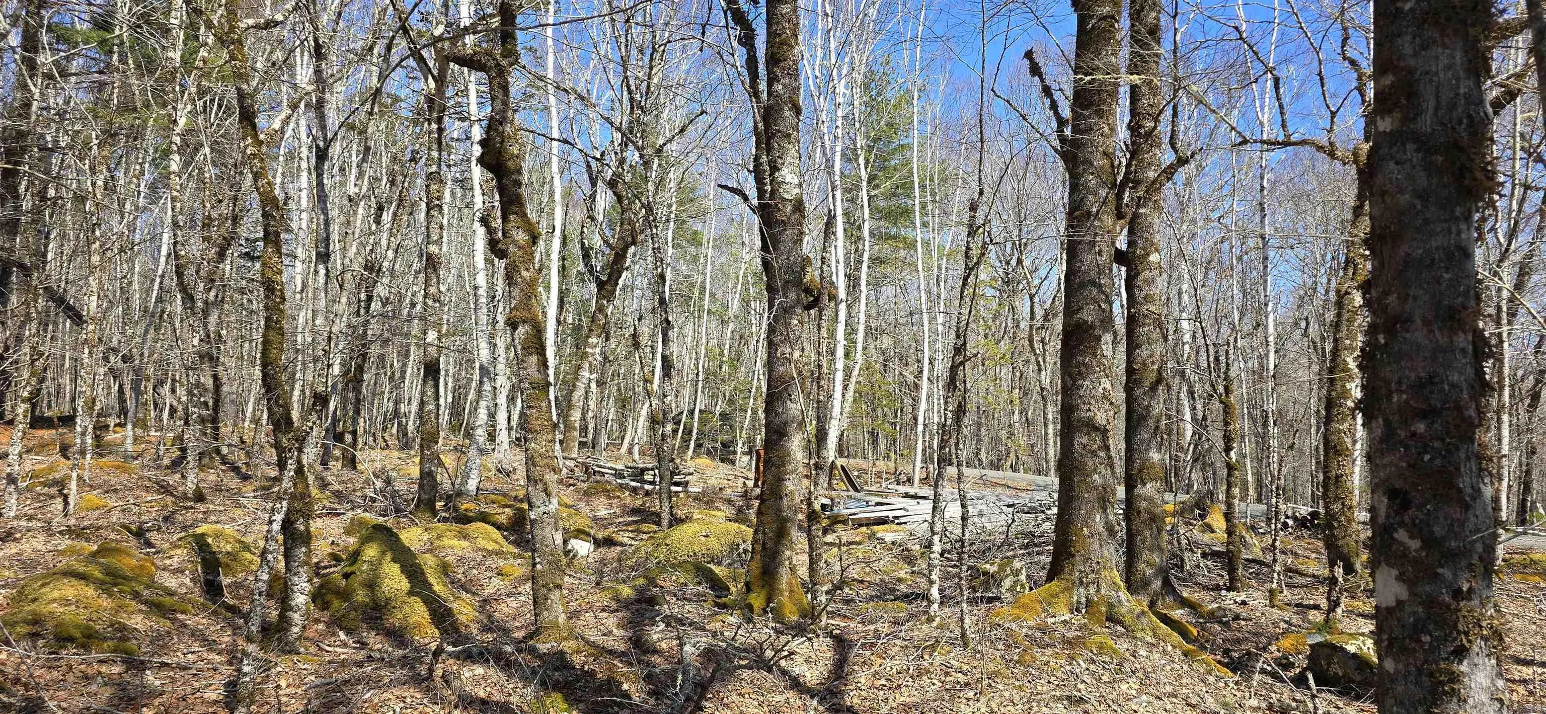 69 Sparkling Spring Lane, Labelle Ns B0t 1e0, ,Land,For Sale,Sparkling Spring,202506925