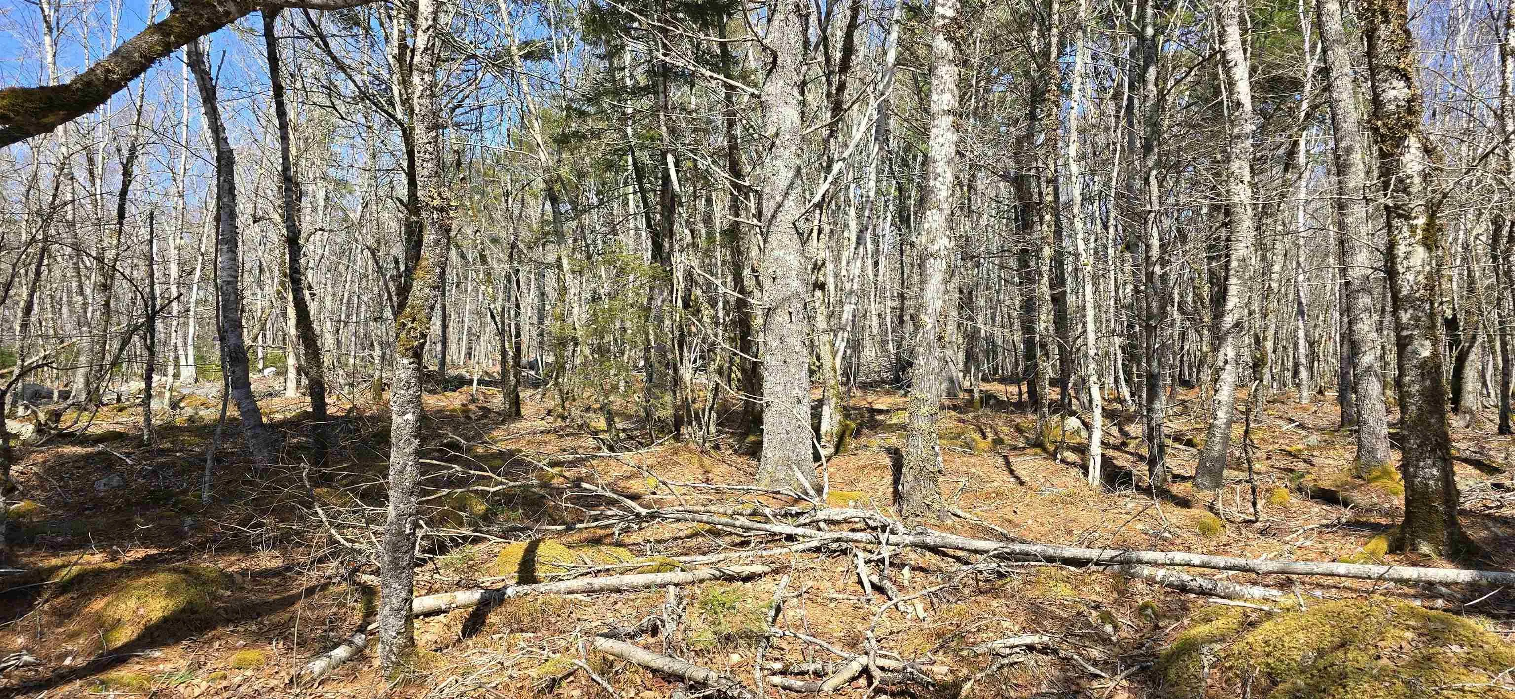 69 Sparkling Spring Lane, Labelle Ns B0t 1e0, ,Land,For Sale,Sparkling Spring,202506925