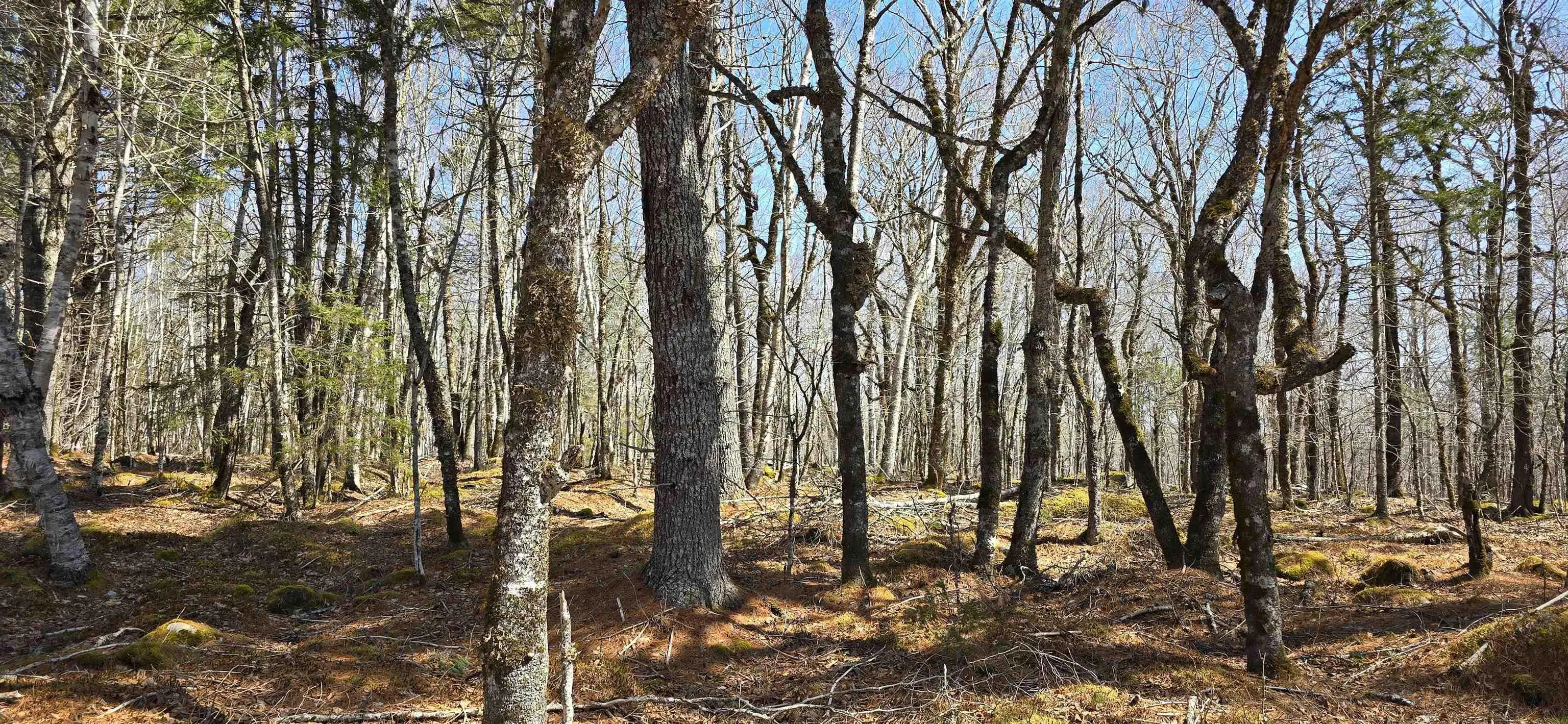69 Sparkling Spring Lane, Labelle Ns B0t 1e0, ,Land,For Sale,Sparkling Spring,202506925