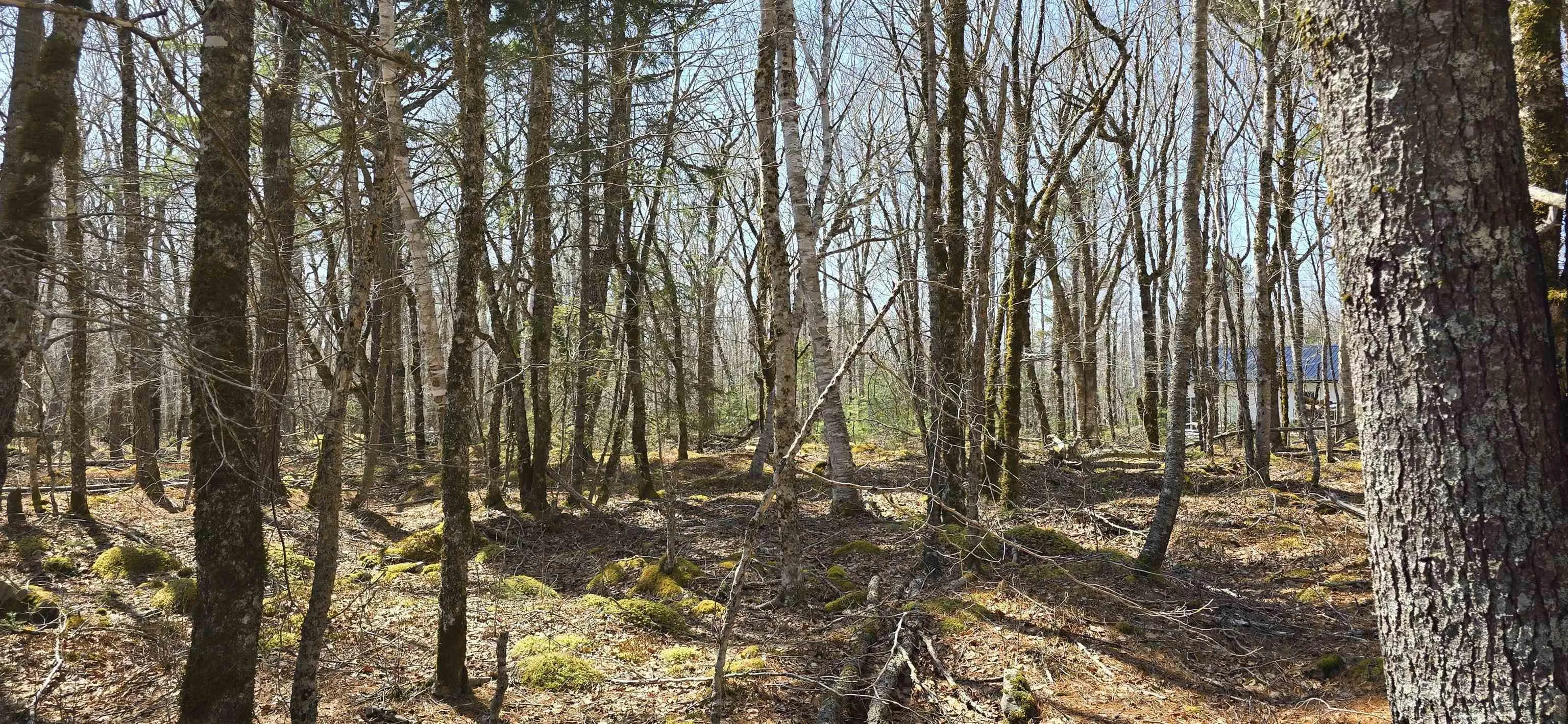 69 Sparkling Spring Lane, Labelle Ns B0t 1e0, ,Land,For Sale,Sparkling Spring,202506925