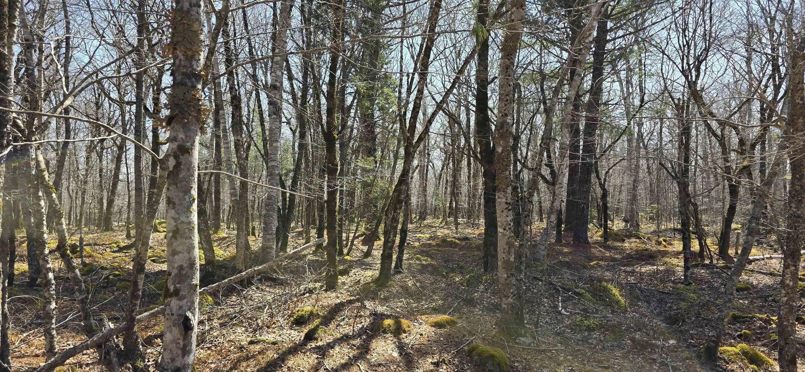 69 Sparkling Spring Lane, Labelle Ns B0t 1e0, ,Land,For Sale,Sparkling Spring,202506925