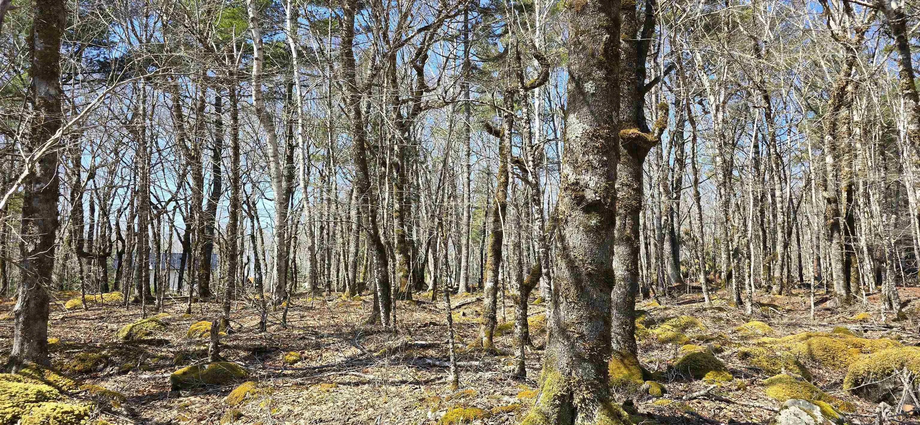 69 Sparkling Spring Lane, Labelle Ns B0t 1e0, ,Land,For Sale,Sparkling Spring,202506925