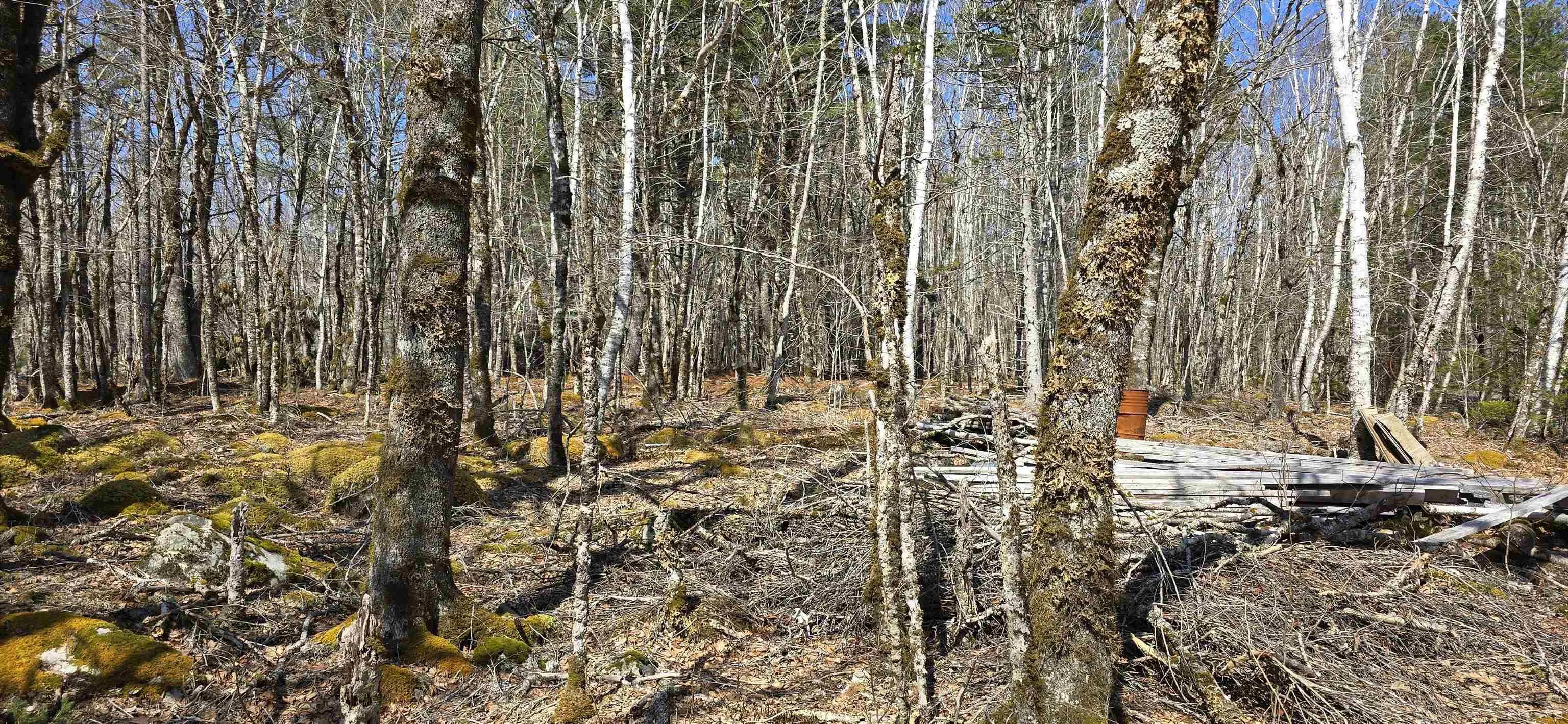 69 Sparkling Spring Lane, Labelle Ns B0t 1e0, ,Land,For Sale,Sparkling Spring,202506925