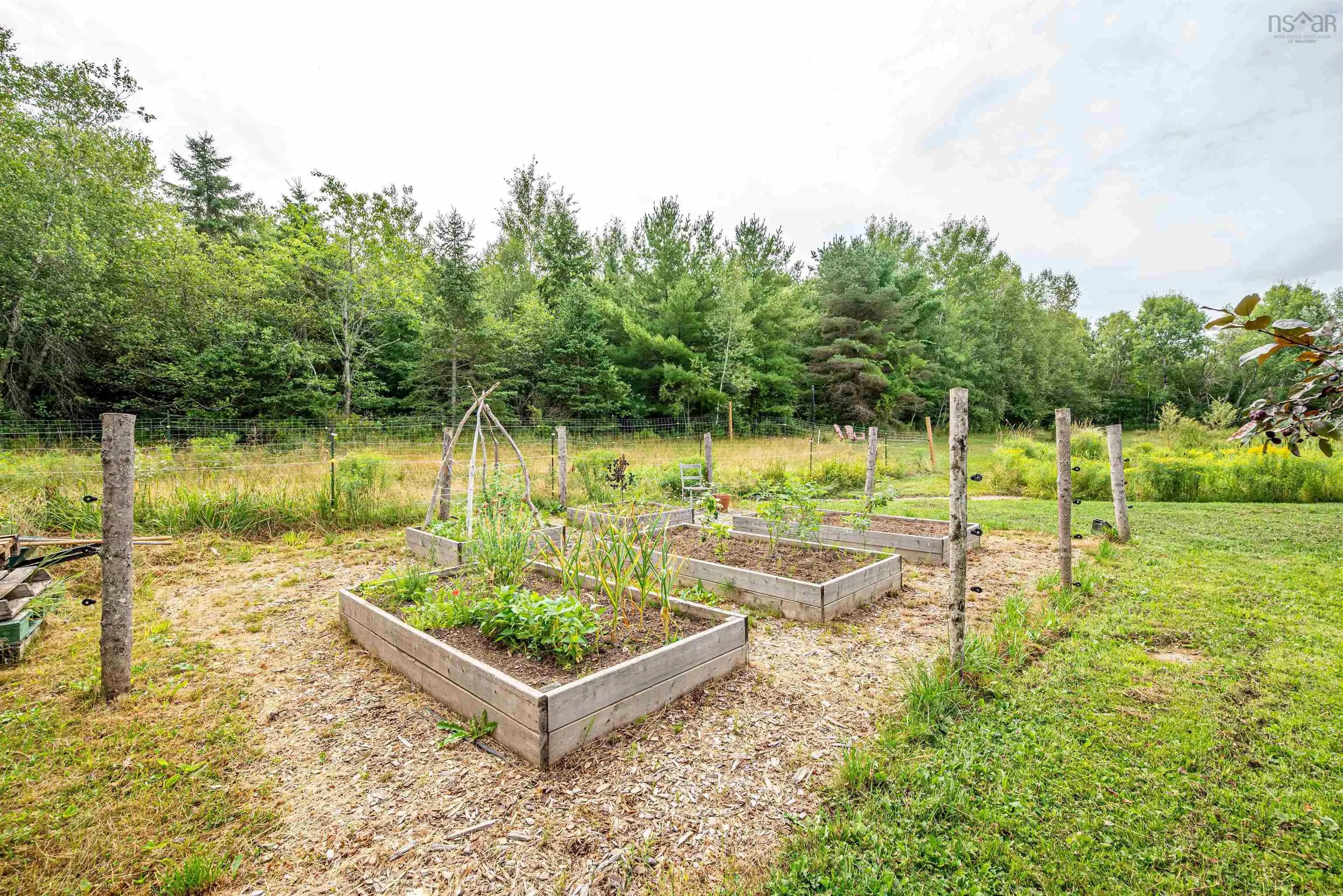 1161 Falmouth Back Road, Upper Falmouth, NS B0P 1P0, 1 Bedroom Bedrooms, ,1 BathroomBathrooms,Residential,For Sale,Falmouth Back,202520190