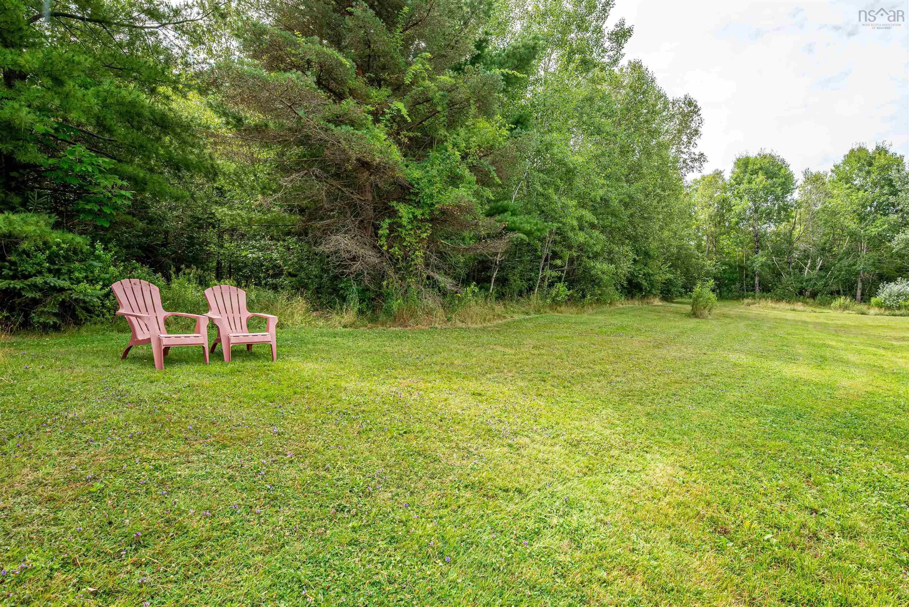 1161 Falmouth Back Road, Upper Falmouth, NS B0P 1P0, 1 Bedroom Bedrooms, ,1 BathroomBathrooms,Residential,For Sale,Falmouth Back,202520190