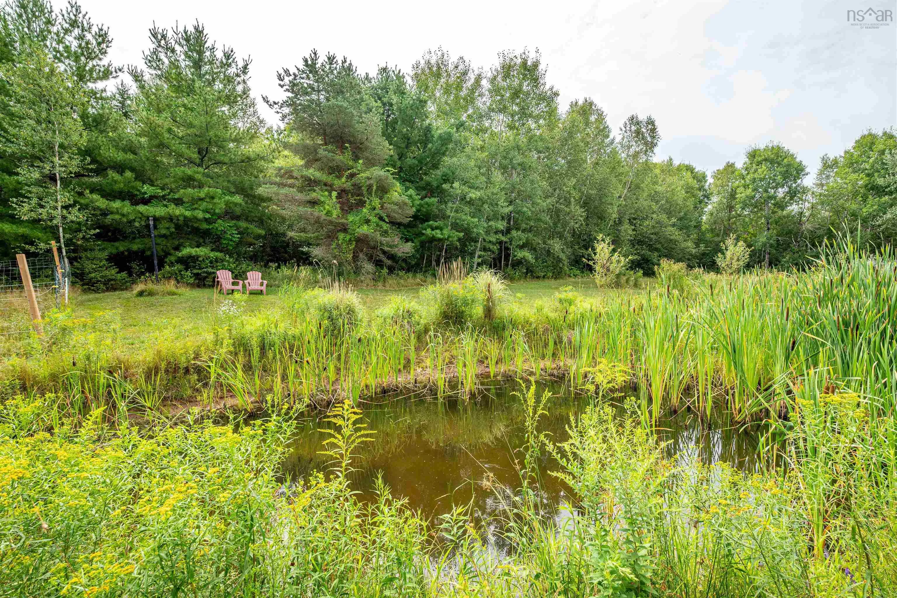 1161 Falmouth Back Road, Upper Falmouth, NS B0P 1P0, 1 Bedroom Bedrooms, ,1 BathroomBathrooms,Residential,For Sale,Falmouth Back,202520190