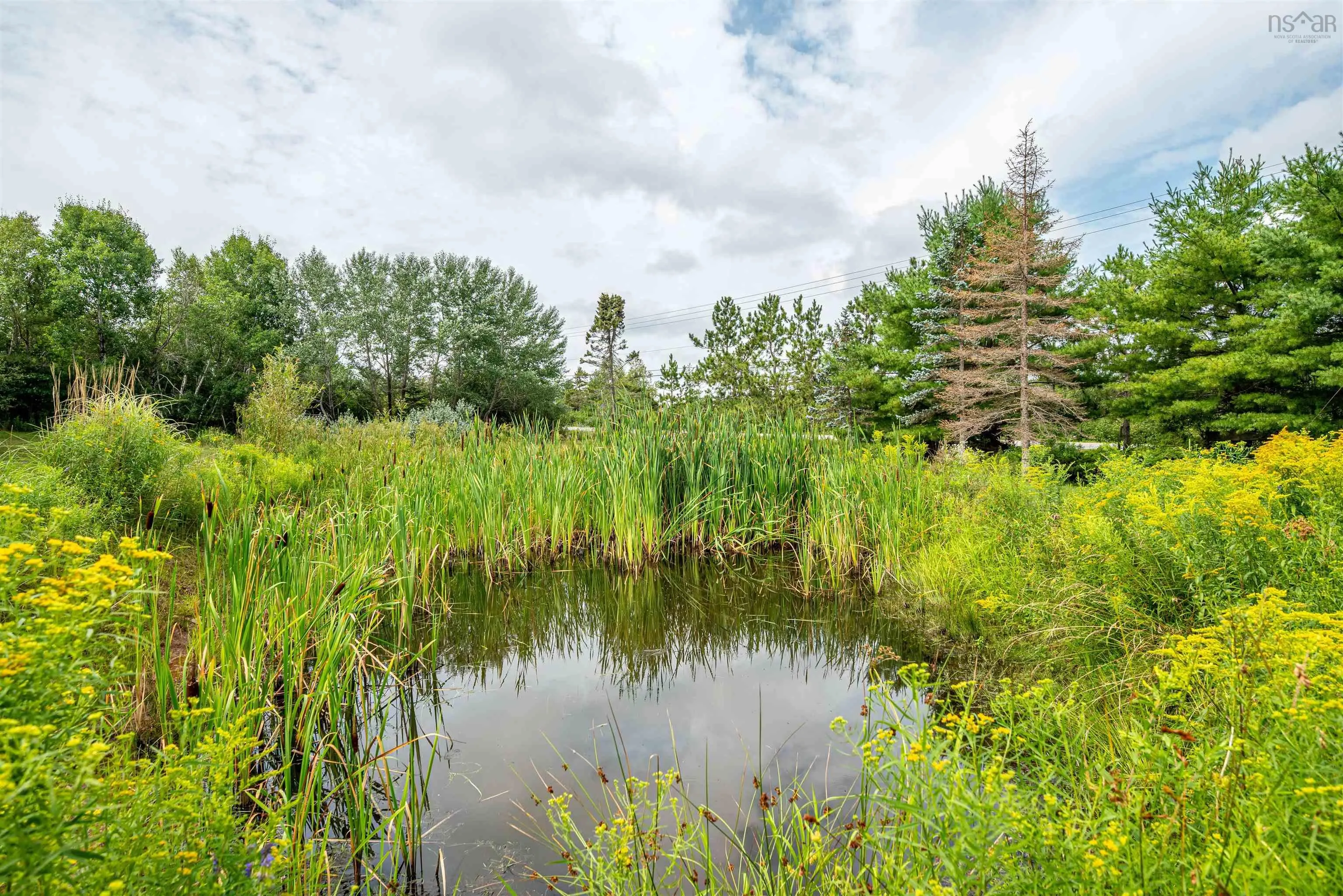 1161 Falmouth Back Road, Upper Falmouth, NS B0P 1P0, 1 Bedroom Bedrooms, ,1 BathroomBathrooms,Residential,For Sale,Falmouth Back,202520190