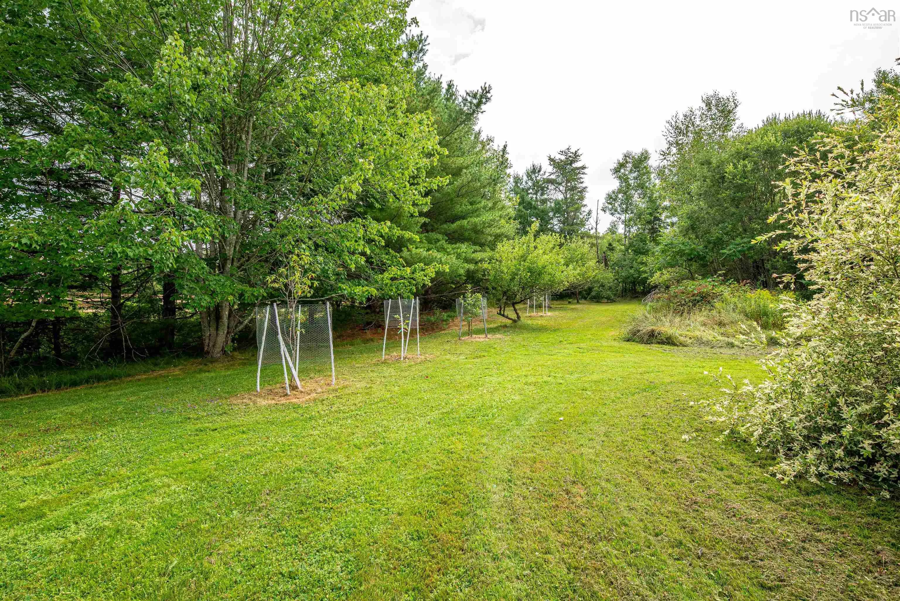 1161 Falmouth Back Road, Upper Falmouth, NS B0P 1P0, 1 Bedroom Bedrooms, ,1 BathroomBathrooms,Residential,For Sale,Falmouth Back,202520190