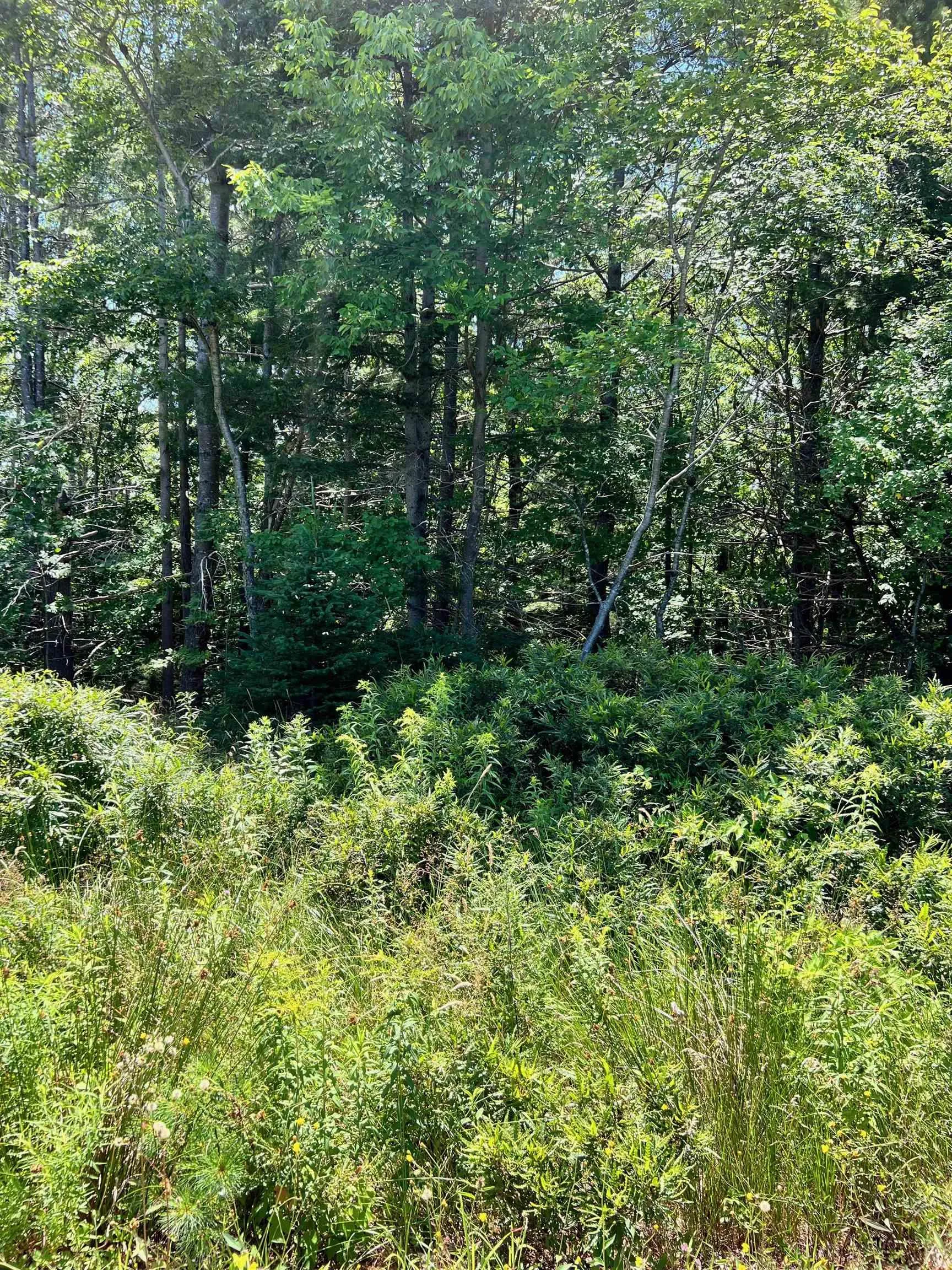 Lot 226 Hawthorn Road, Mahone Bay Ns B0j 2e0, ,Land,For Sale,Hawthorn,202417513