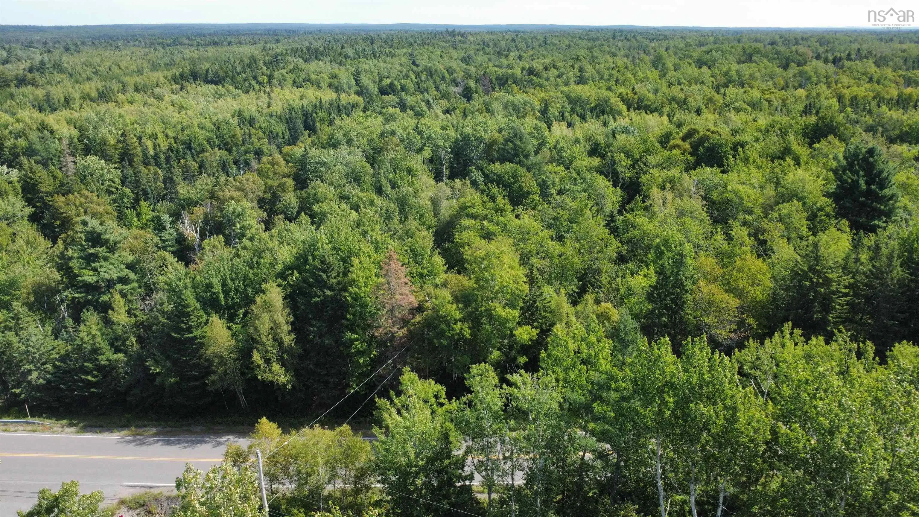 25-3 Hwy#368 Highway, Wentworth, NS B0M 1Z0, ,Land,For Sale,Highway #368,202521735