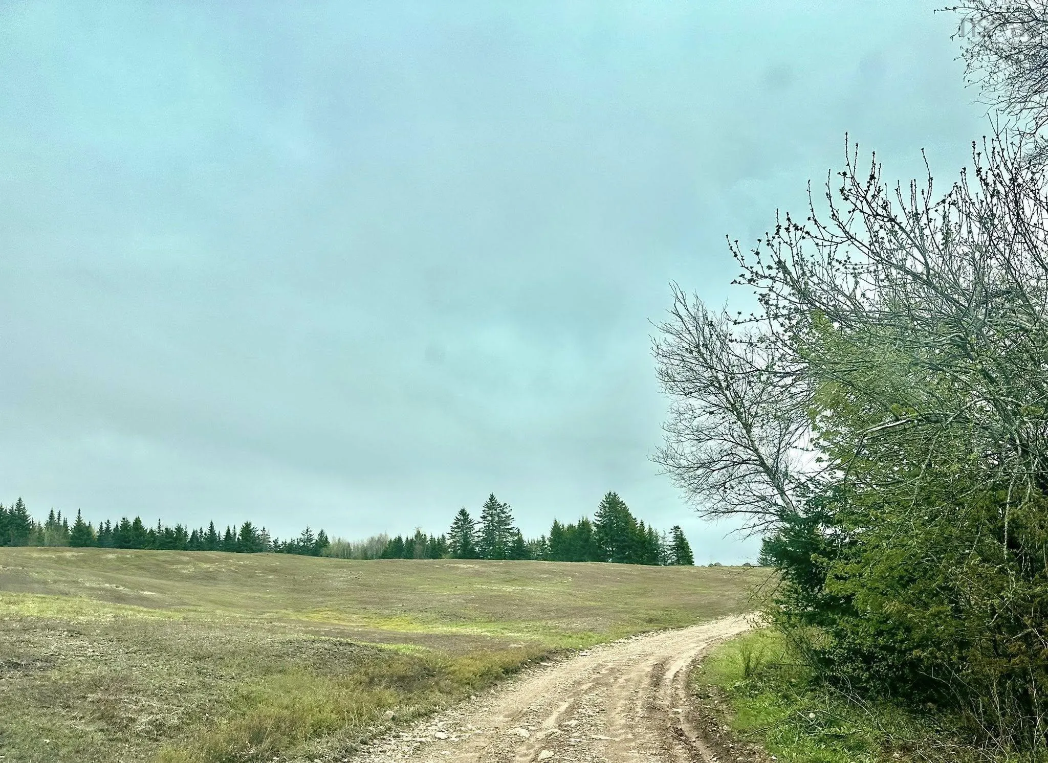 Camp Fenton Road, Collingwood Corner, NS B0M 1E0, ,Residential,For Sale,Fenton,202513401