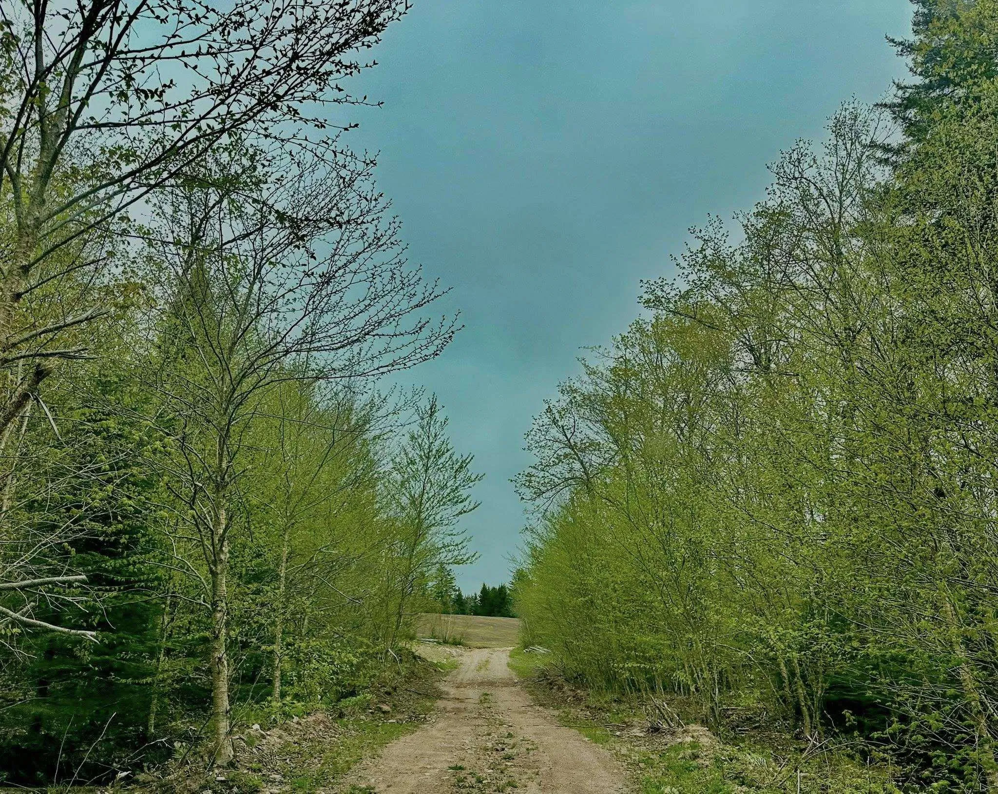 Camp Fenton Road, Collingwood Corner, NS B0M 1E0, ,Residential,For Sale,Fenton,202513401