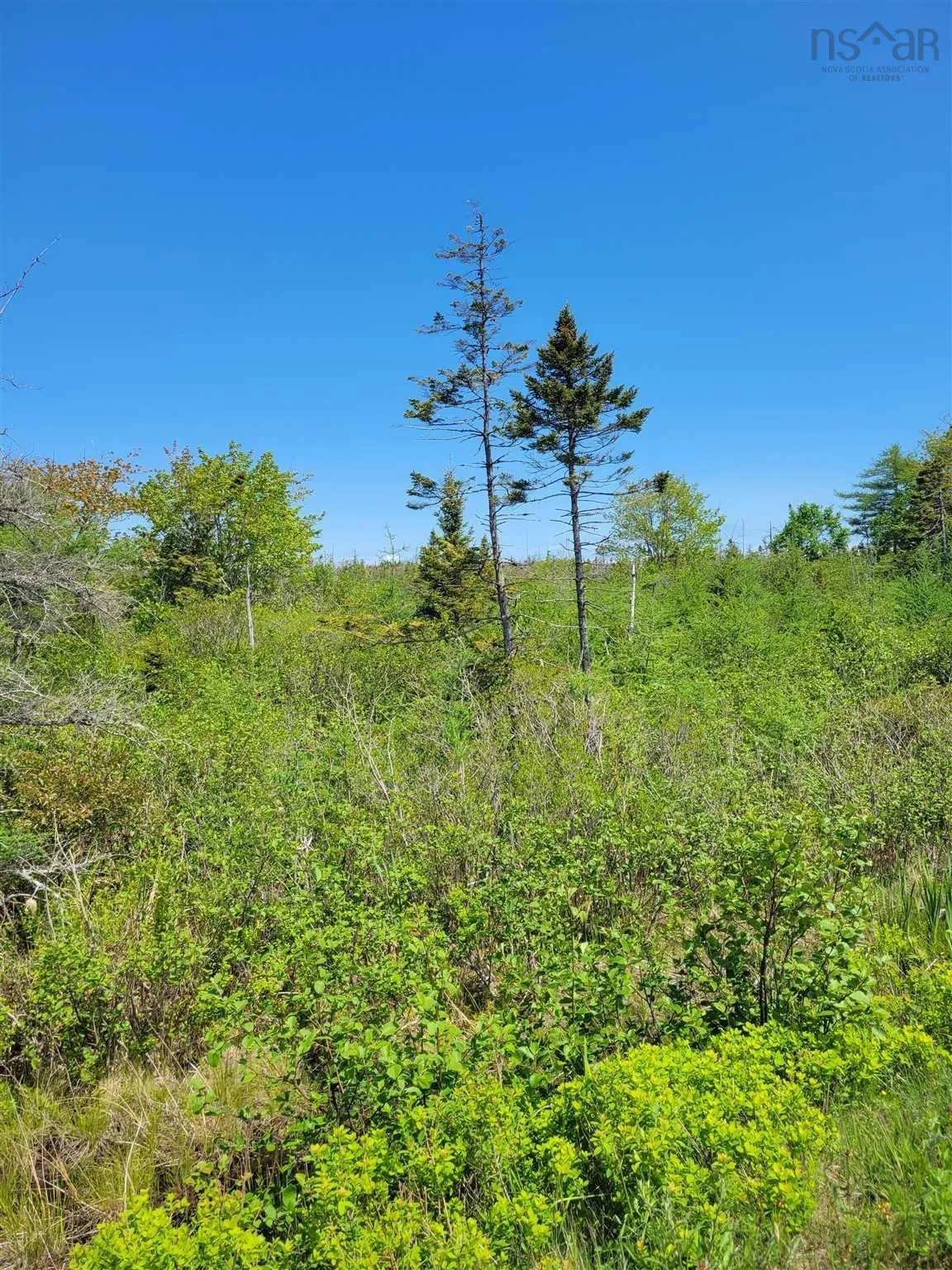 No 207 Highway Seaforth, Seaforth Ns B0j 2l0, ,Land,For Sale,207 Highway Seaforth,202505886