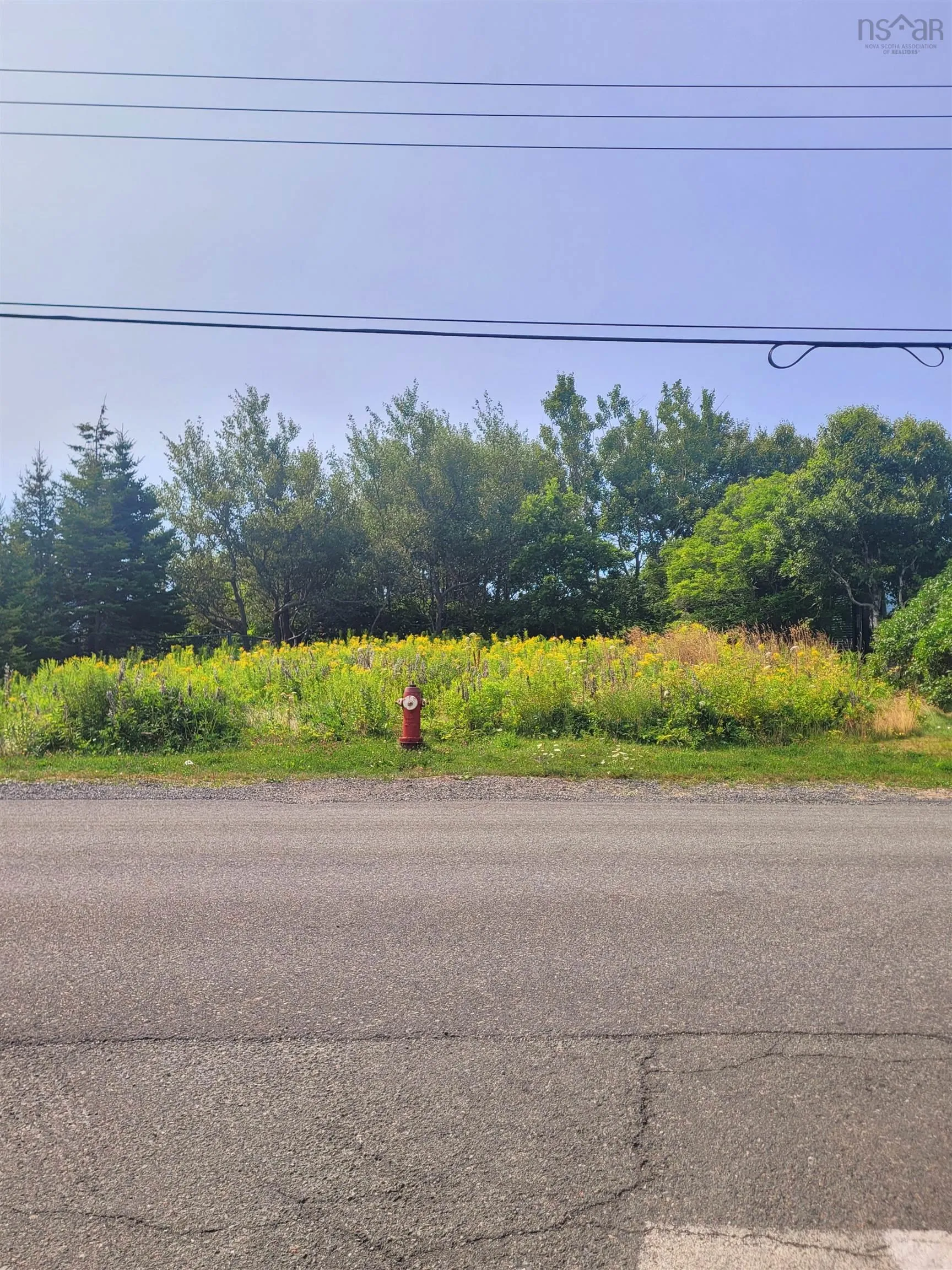 617 Donkin Highway, Donkin, NS B1A 6S8, ,Land,For Sale,Donkin,202520427