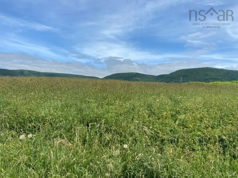 Cabot Trail, Grand Étang, NS B0E 1L0, ,Land,For Sale,Cabot,202520161