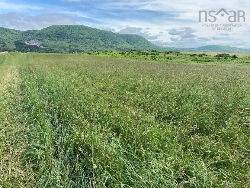 Cabot Trail, Grand Étang, NS B0E 1L0, ,Land,For Sale,Cabot,202520161