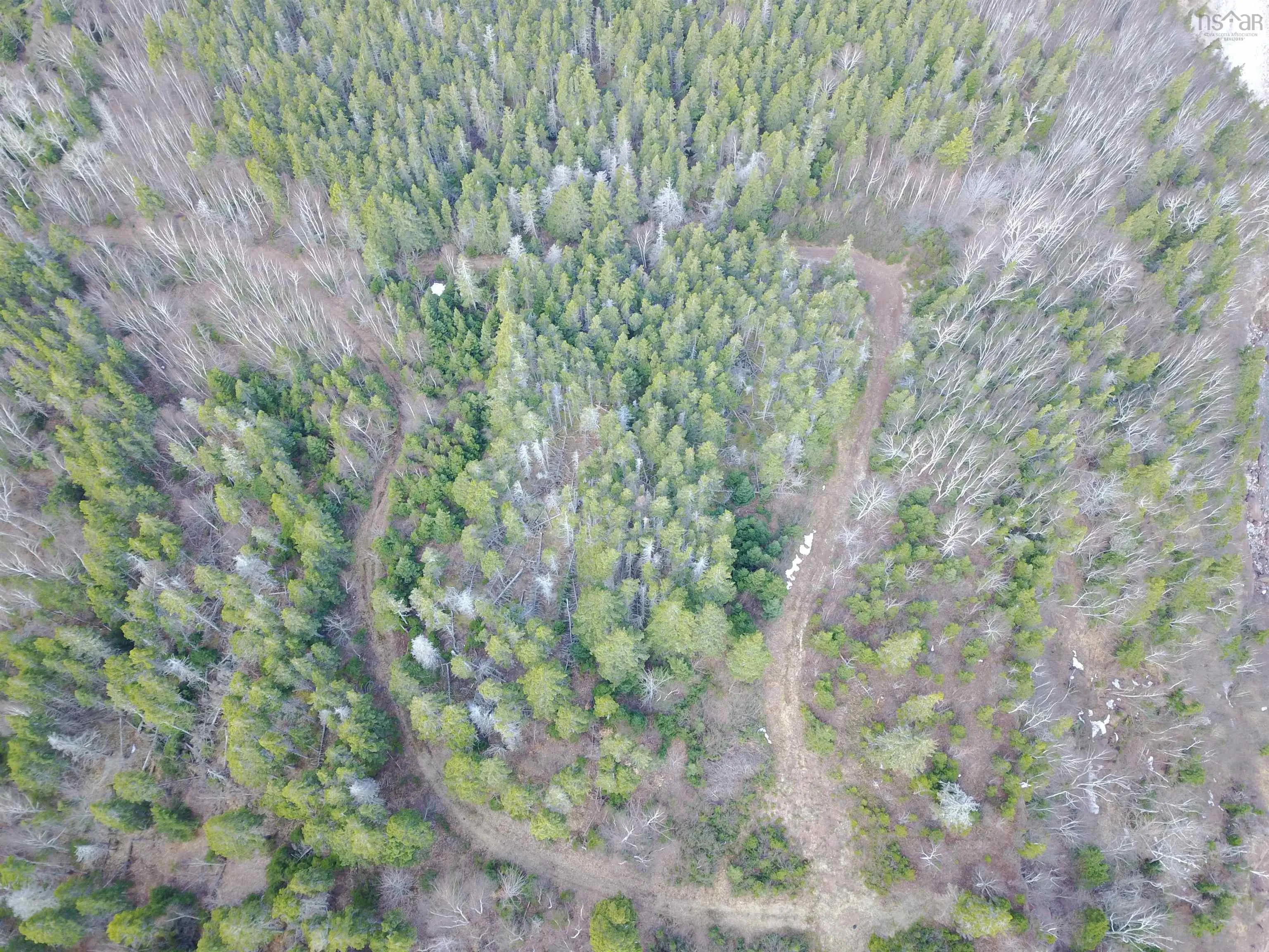 Cabot Trail, Ingonish Ferry Ns B0c 1l0, ,Land,For Sale,Cabot,202508316