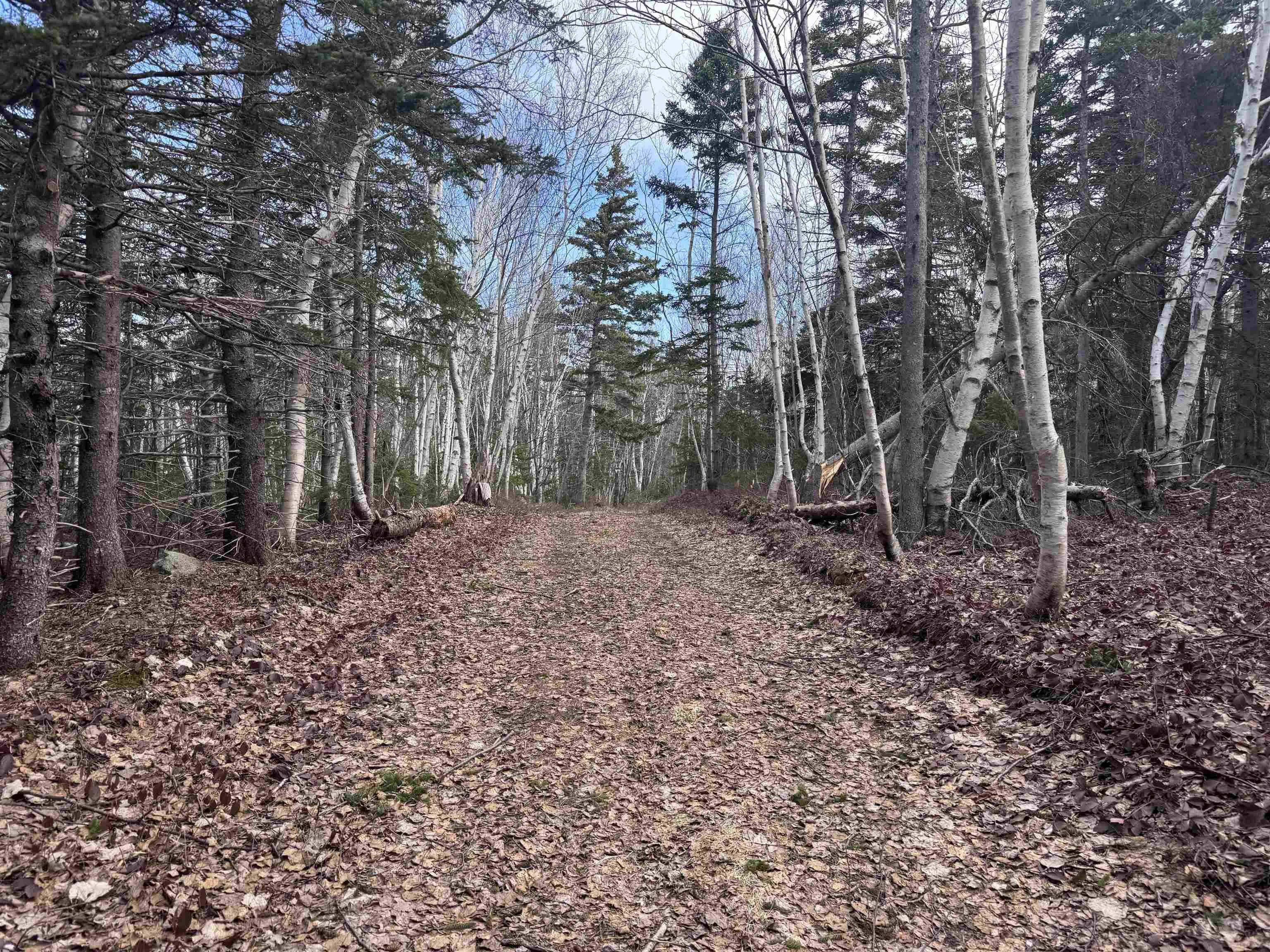 Cabot Trail, Ingonish Ferry Ns B0c 1l0, ,Land,For Sale,Cabot,202508316
