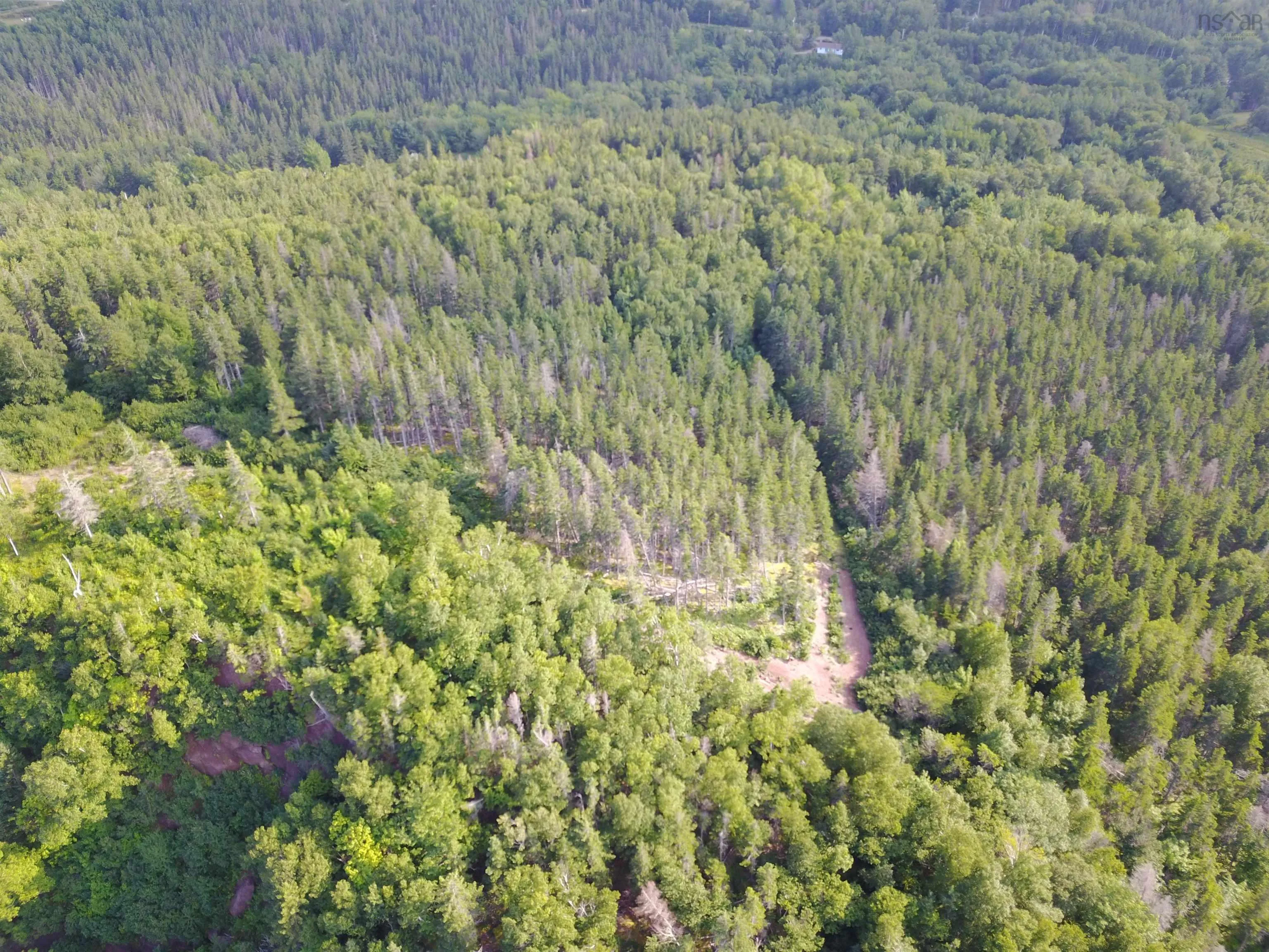 Cabot Trail, Ingonish Ferry Ns B0c 1l0, ,Land,For Sale,Cabot,202508316