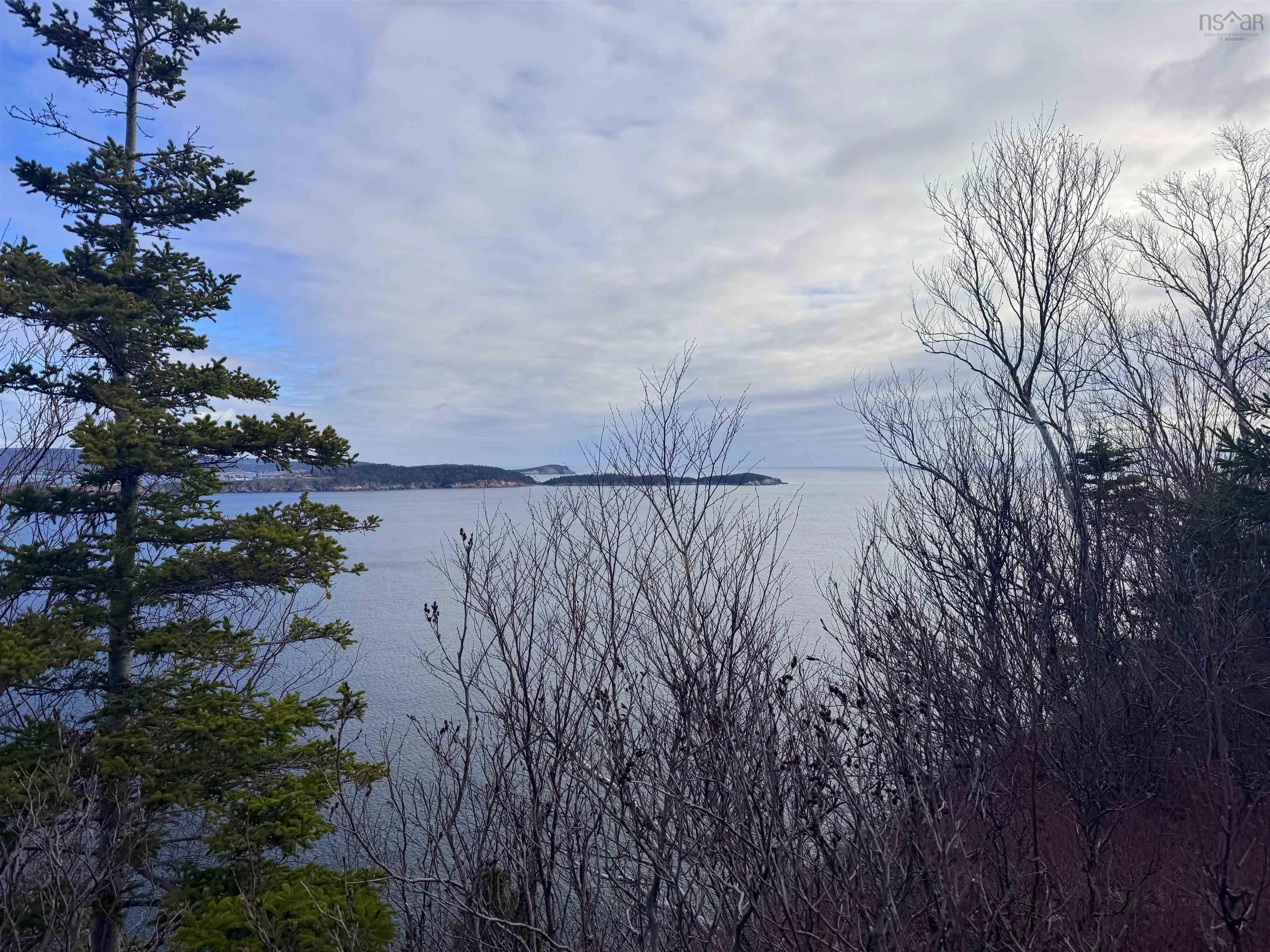 Cabot Trail, Ingonish Ferry Ns B0c 1l0, ,Land,For Sale,Cabot,202508316