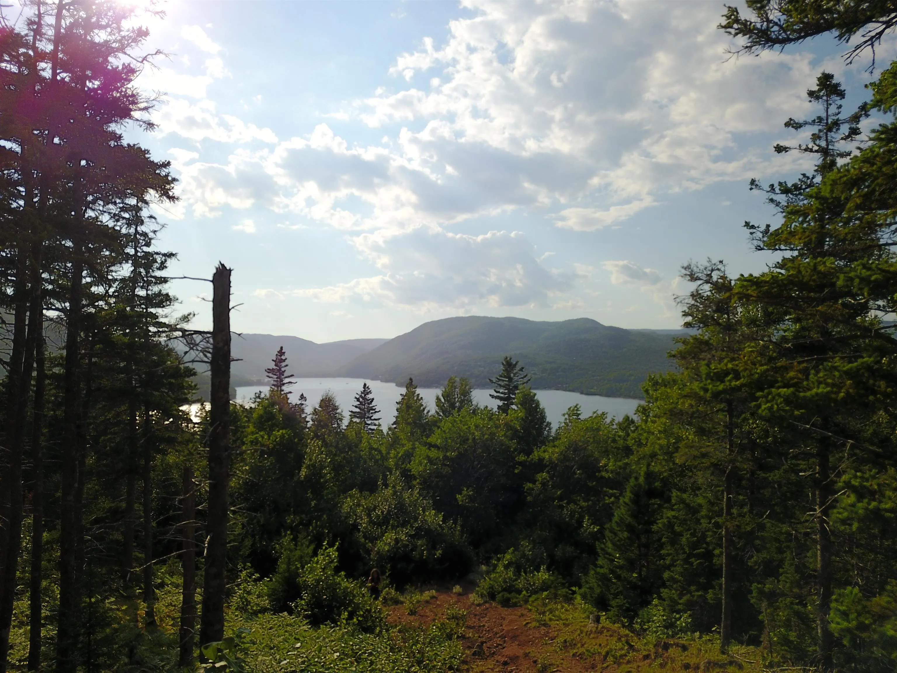 Cabot Trail, Ingonish Ferry Ns B0c 1l0, ,Land,For Sale,Cabot,202508316