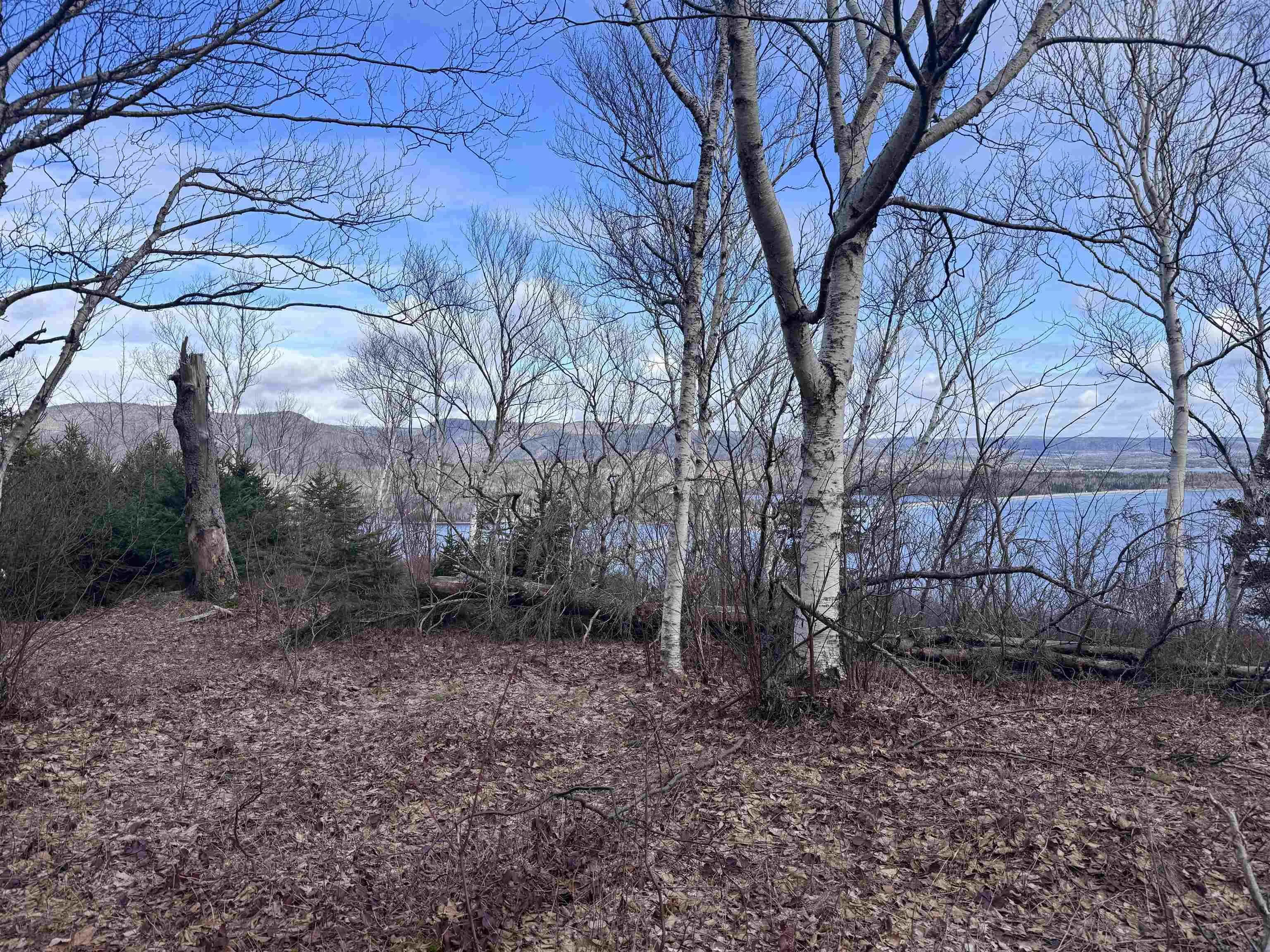 Cabot Trail, Ingonish Ferry Ns B0c 1l0, ,Land,For Sale,Cabot,202508316