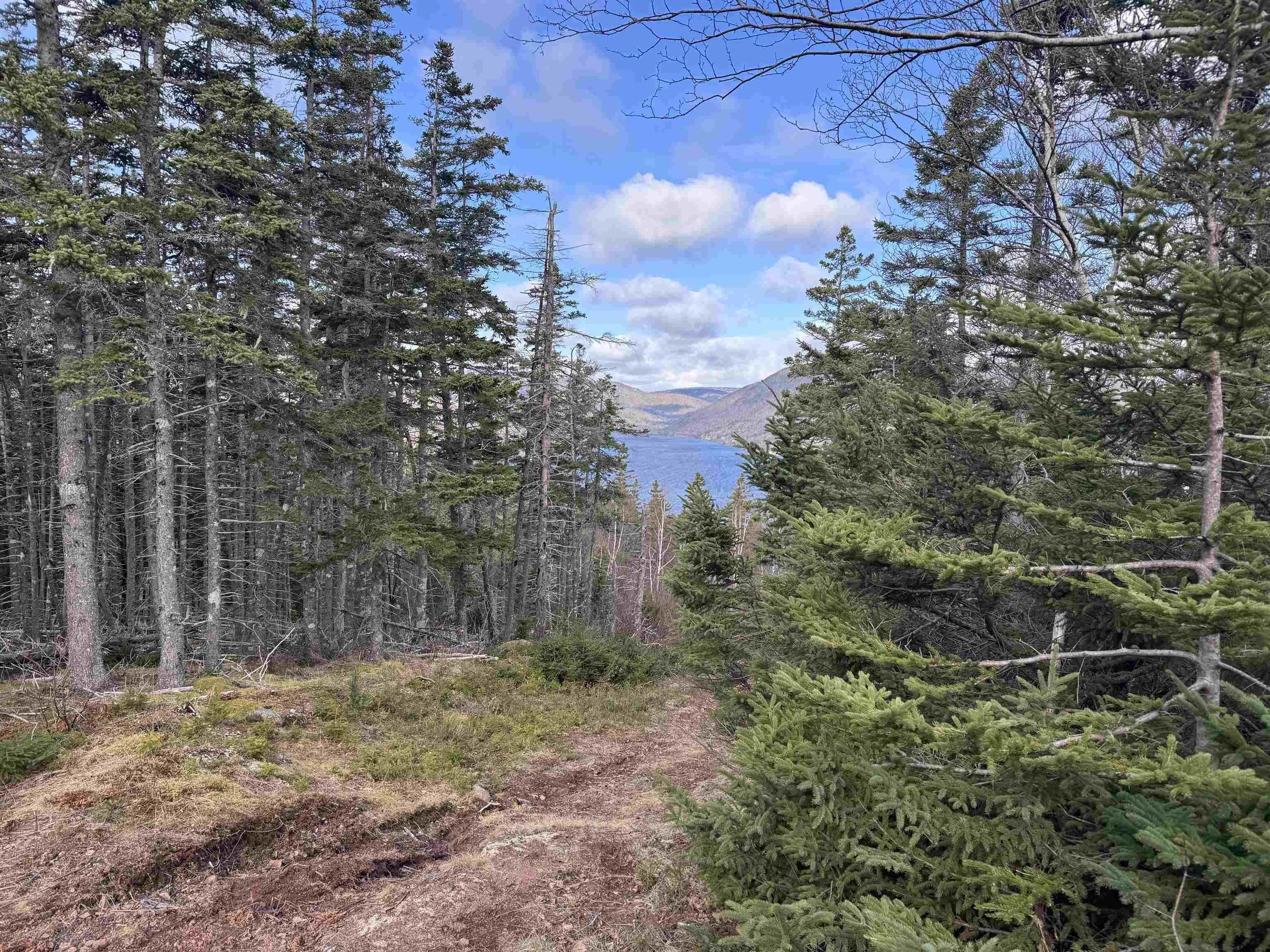 Cabot Trail, Ingonish Ferry Ns B0c 1l0, ,Land,For Sale,Cabot,202508316