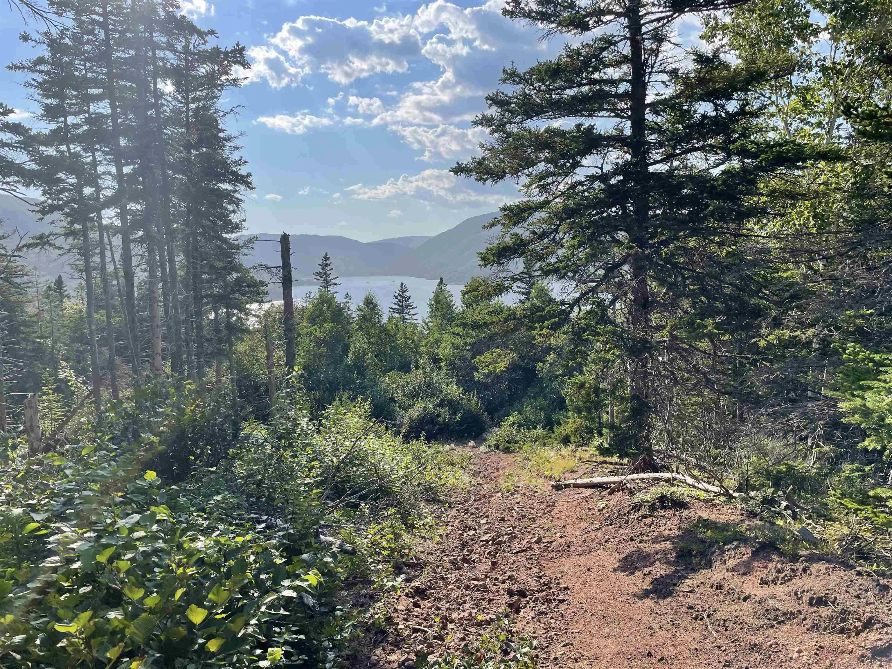 Cabot Trail, Ingonish Ferry Ns B0c 1l0, ,Land,For Sale,Cabot,202508316