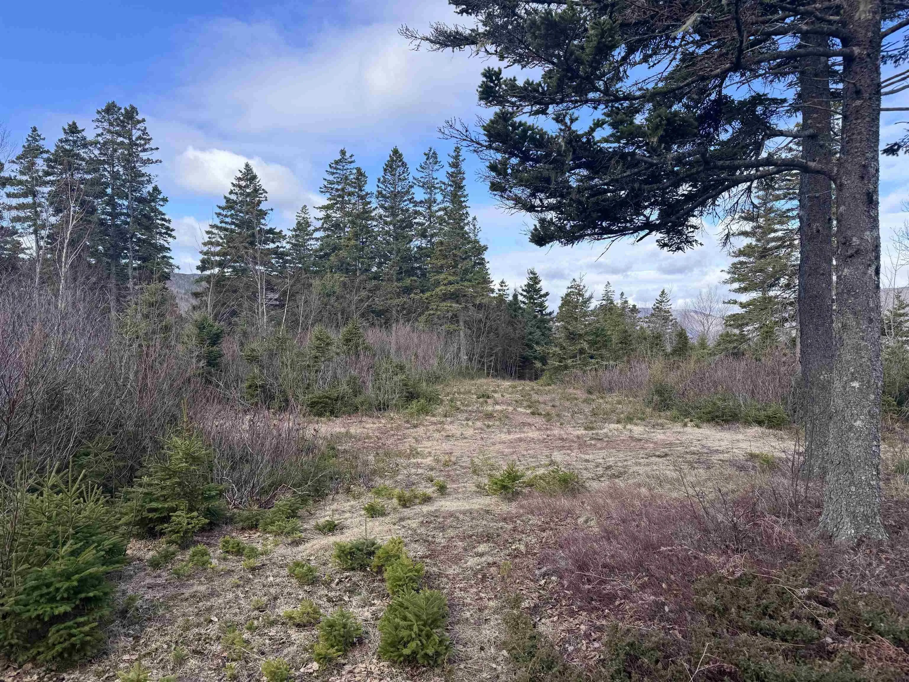 Cabot Trail, Ingonish Ferry Ns B0c 1l0, ,Land,For Sale,Cabot,202508316