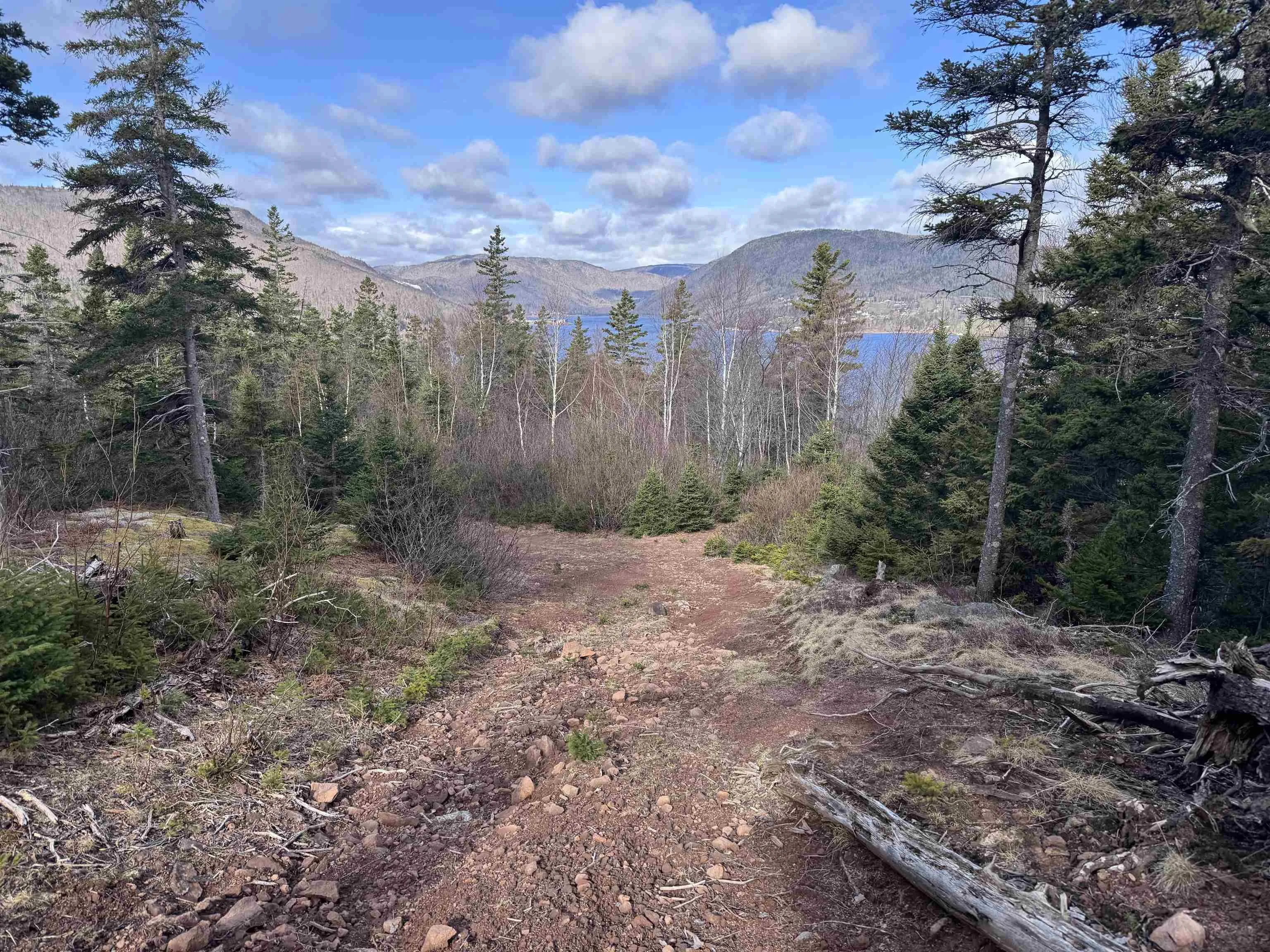 Cabot Trail, Ingonish Ferry Ns B0c 1l0, ,Land,For Sale,Cabot,202508316