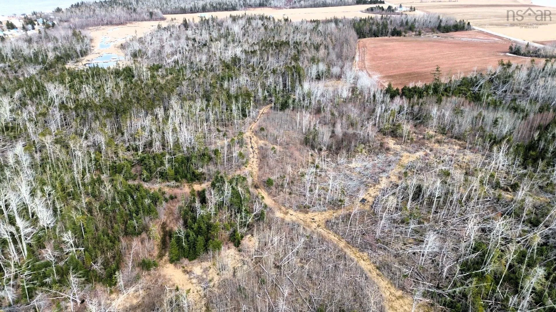 V/l Toney Bay Road, Port Howe Ns B0k 1k0, ,Land,For Sale,Toney Bay,202500594