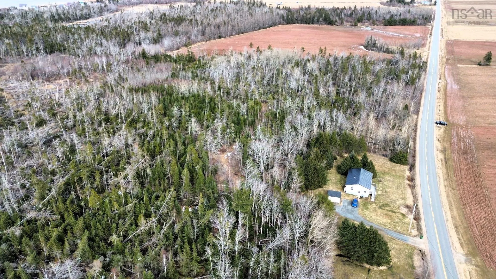V/l Toney Bay Road, Port Howe Ns B0k 1k0, ,Land,For Sale,Toney Bay,202500594