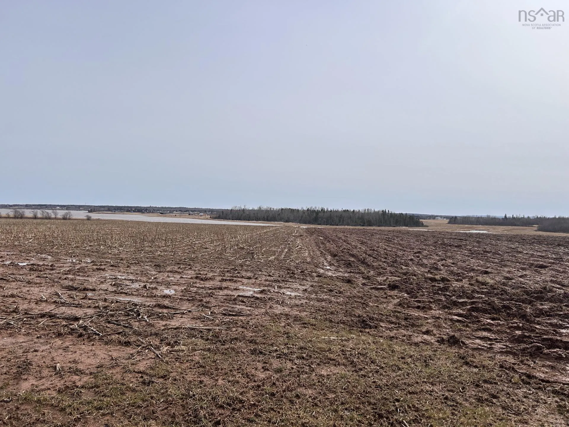 V/l Toney Bay Road, Port Howe Ns B0k 1k0, ,Land,For Sale,Toney Bay,202500594