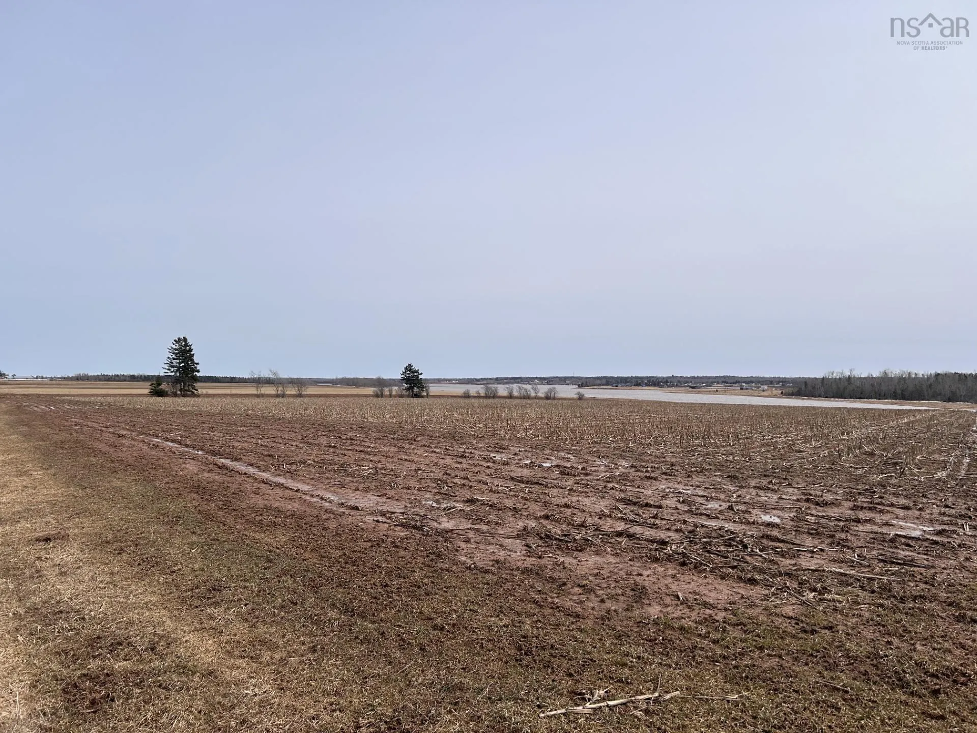 V/l Toney Bay Road, Port Howe Ns B0k 1k0, ,Land,For Sale,Toney Bay,202500594