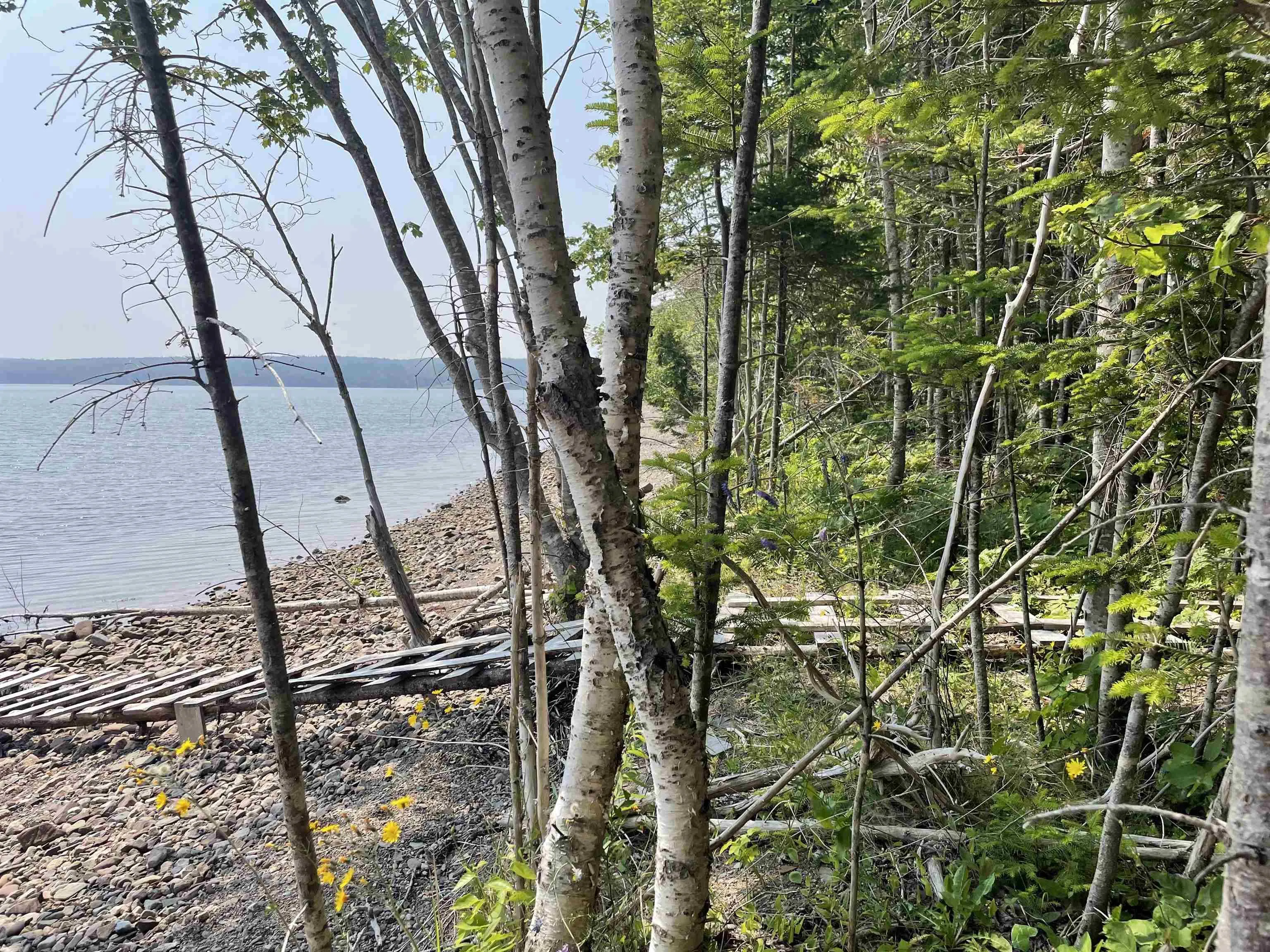 2420 Marble Mountain Road, West Bay, NS B0E 3K0, 2 Bedrooms Bedrooms, ,1 BathroomBathrooms,Residential,For Sale,Marble Mountain,202517885