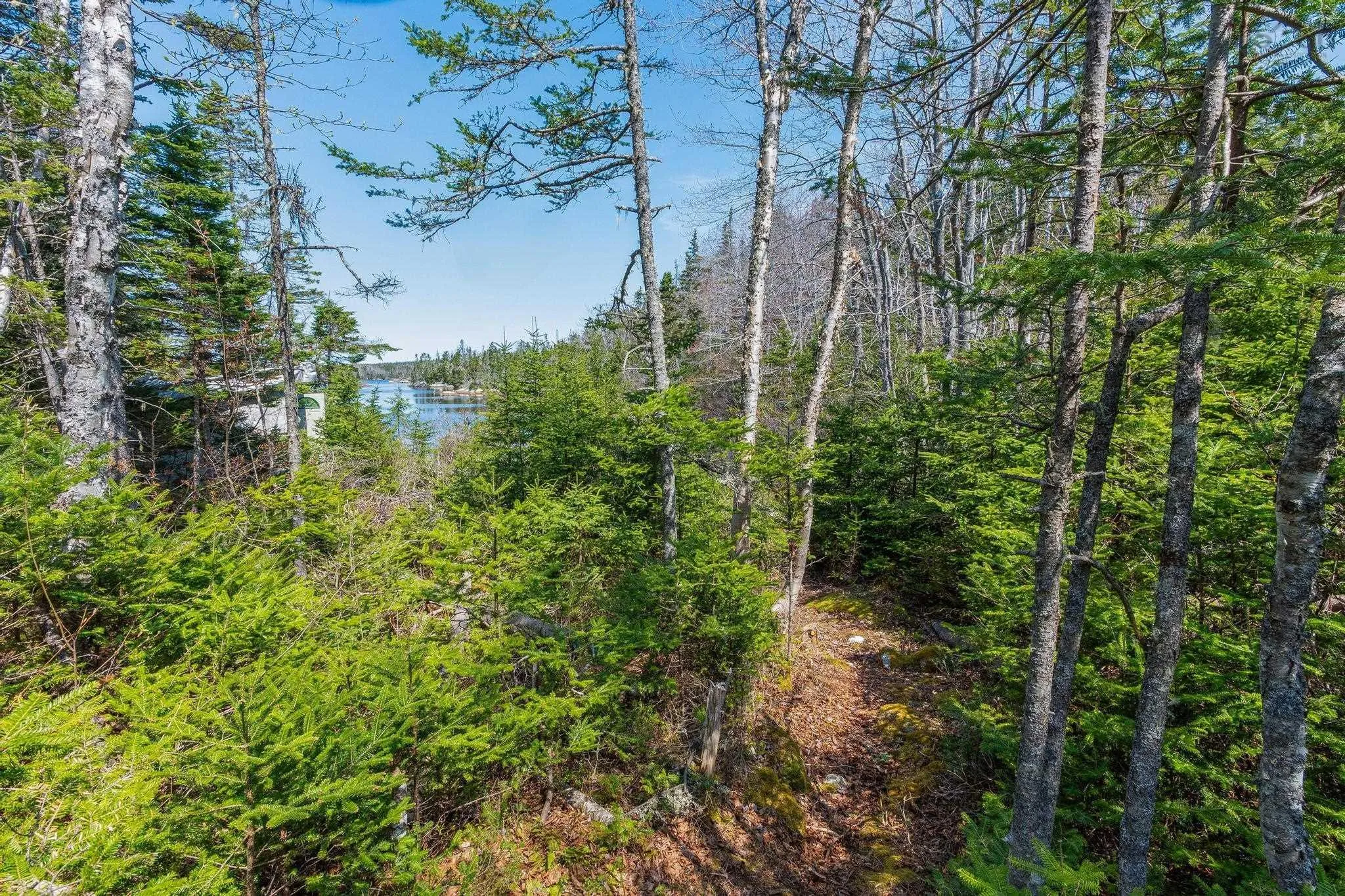 Scott's Point Road, East Dover, NS B3Z 3W2, ,Land,For Sale,Scott's Point,202511202
