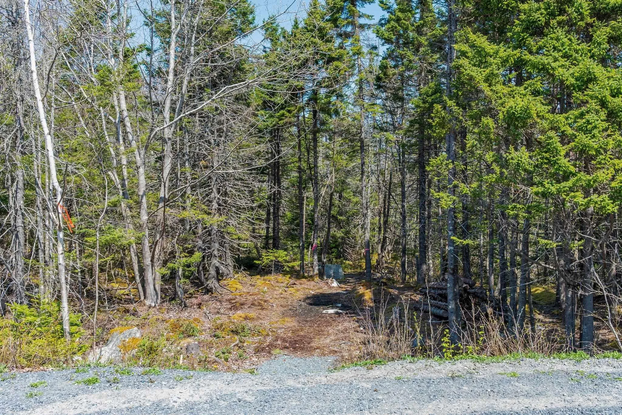 Scott's Point Road, East Dover, NS B3Z 3W2, ,Land,For Sale,Scott's Point,202511202