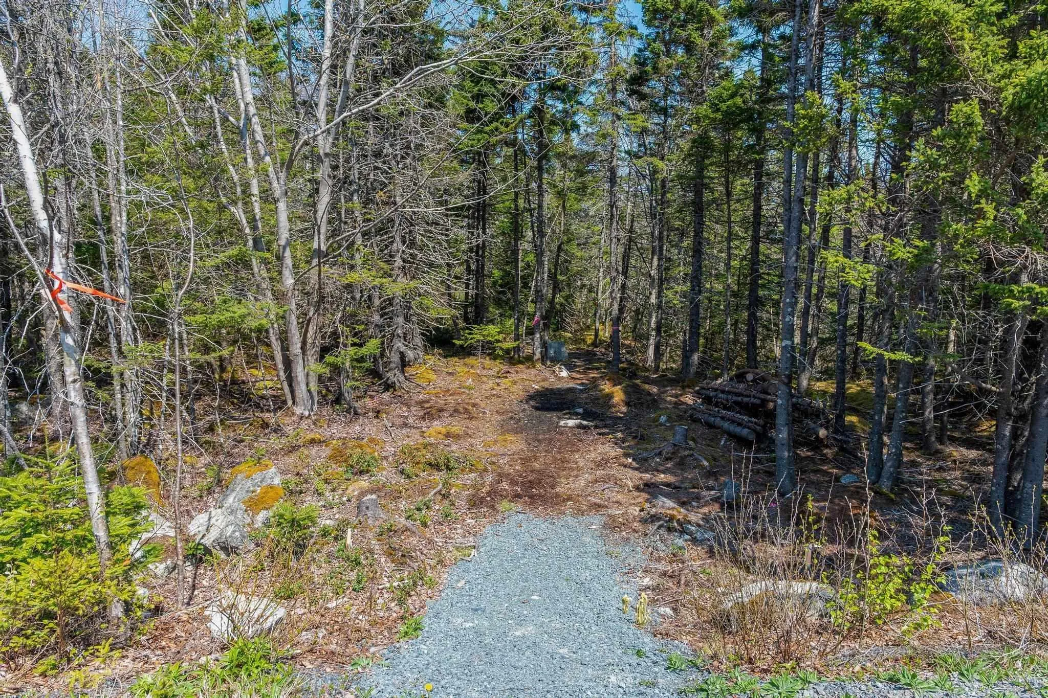 Scott's Point Road, East Dover, NS B3Z 3W2, ,Land,For Sale,Scott's Point,202511202