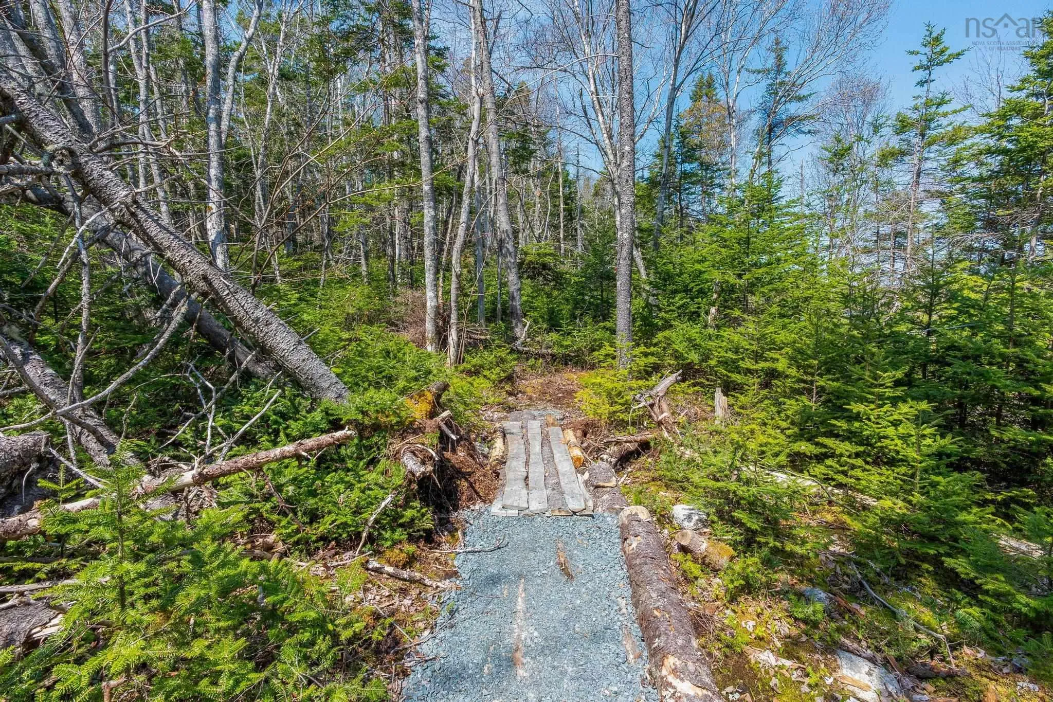Scott's Point Road, East Dover, NS B3Z 3W2, ,Land,For Sale,Scott's Point,202511202