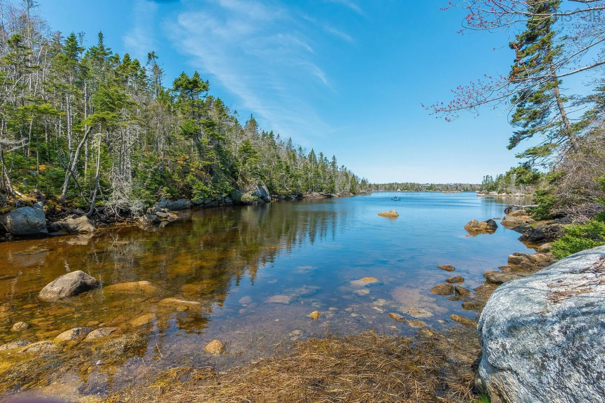 Scott's Point Road, East Dover, NS B3Z 3W2, ,Land,For Sale,Scott's Point,202511202