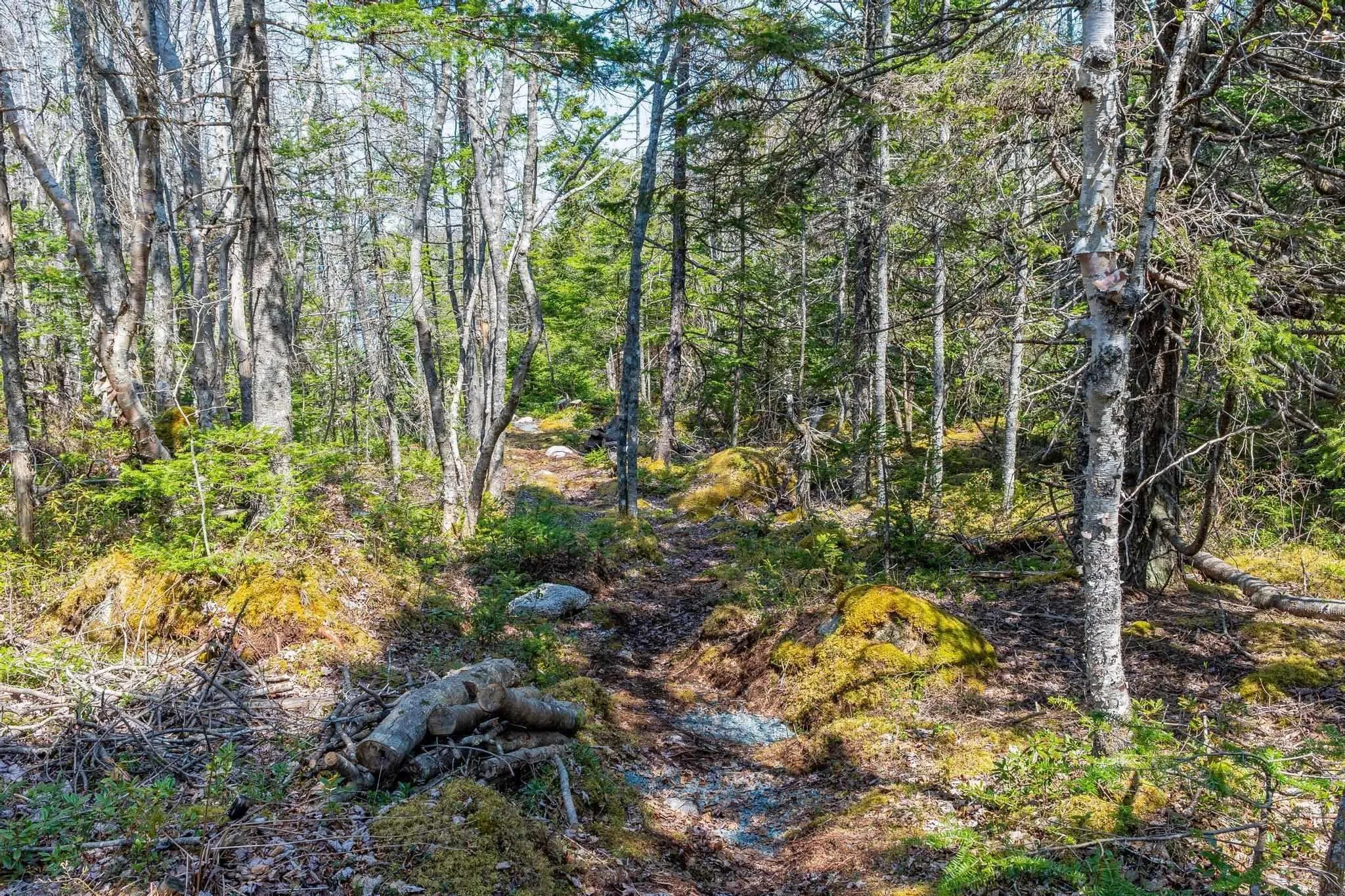 Scott's Point Road, East Dover, NS B3Z 3W2, ,Land,For Sale,Scott's Point,202511202