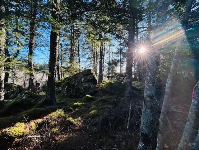 351 Narrows Road W, Labelle Ns B4v 8x2, 2 Bedrooms Bedrooms, ,2 BathroomsBathrooms,Residential,For Sale,Narrows,202502199