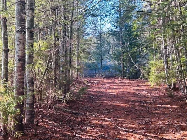 351 Narrows Road W, Labelle Ns B4v 8x2, 2 Bedrooms Bedrooms, ,2 BathroomsBathrooms,Residential,For Sale,Narrows,202502199