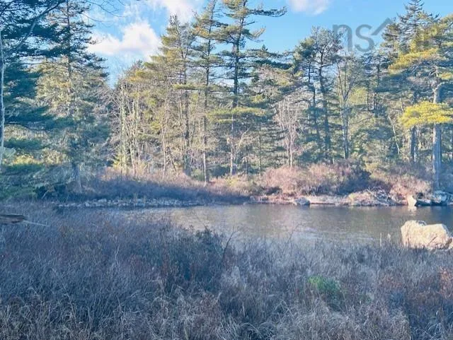351 Narrows Road W, Labelle Ns B4v 8x2, 2 Bedrooms Bedrooms, ,2 BathroomsBathrooms,Residential,For Sale,Narrows,202502199