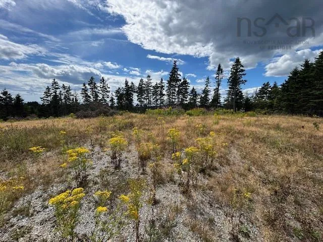 1185 247 Highway, Rockdale, NS B0E 3B0, ,Land,For Sale,247,202521608