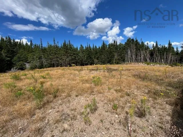 1185 247 Highway, Rockdale, NS B0E 3B0, ,Land,For Sale,247,202521608